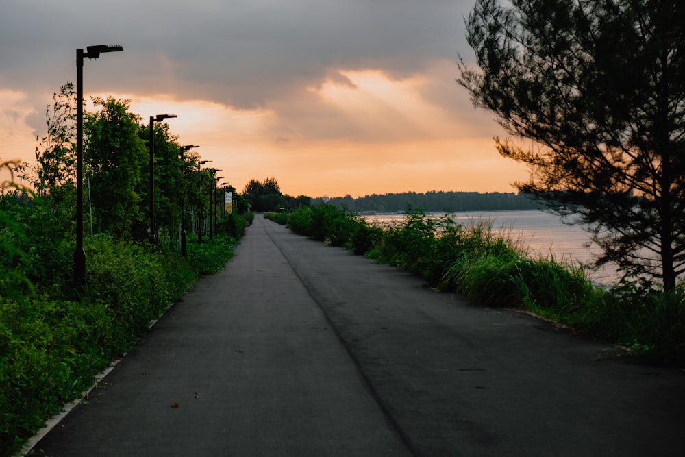 a paved road next to a body of water