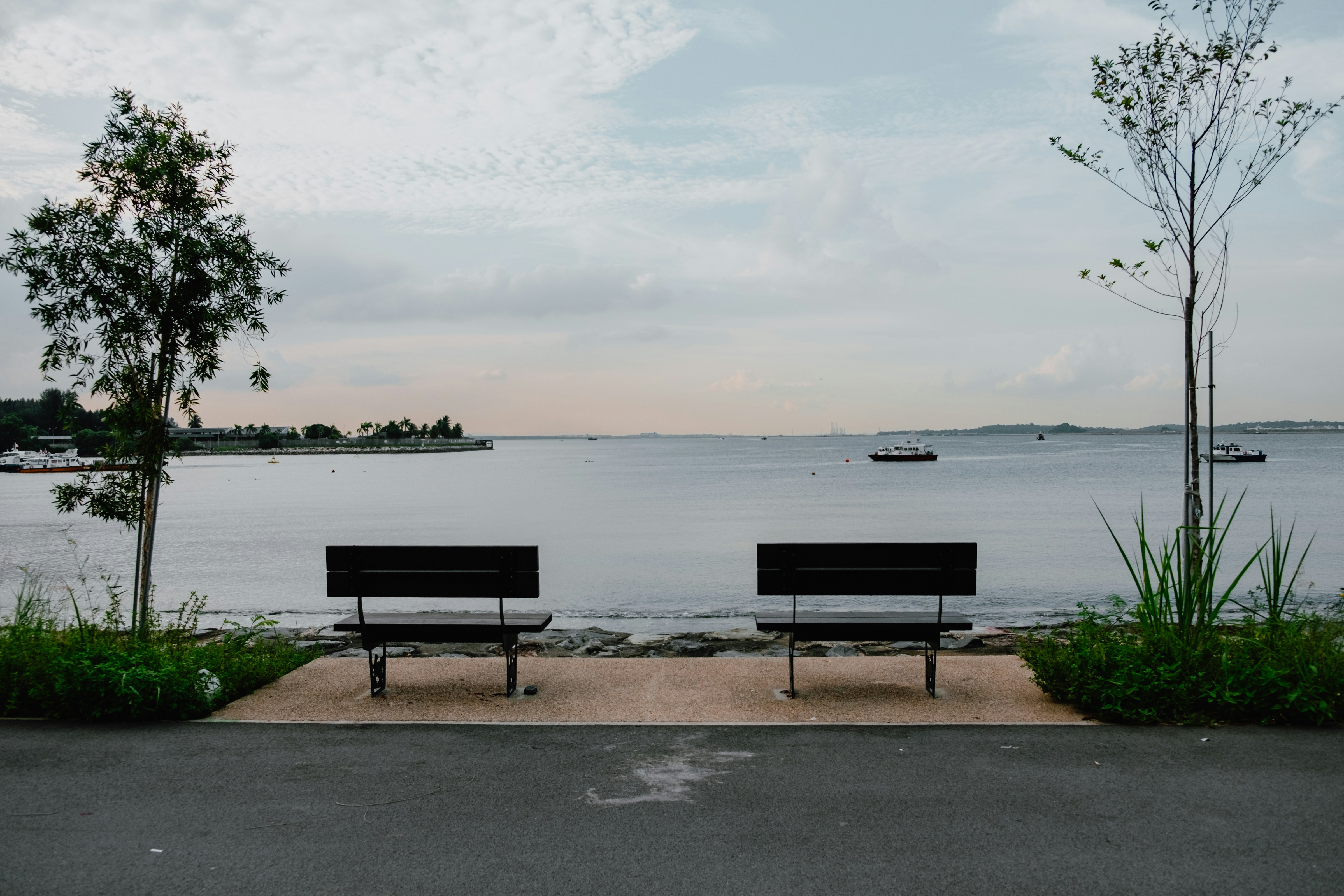 a couple of benches sitting next to a body of water
