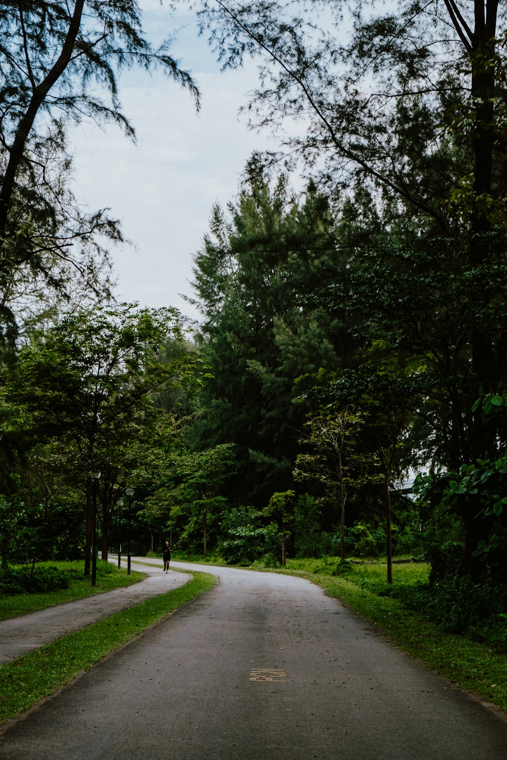 an empty road surrounded by trees and grass