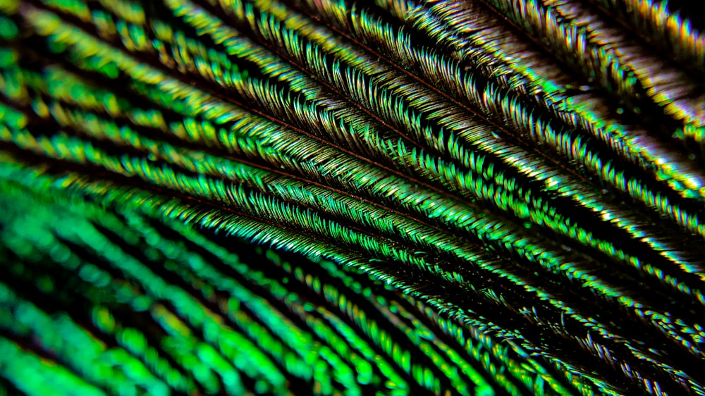 a close up view of a peacock's feathers tail