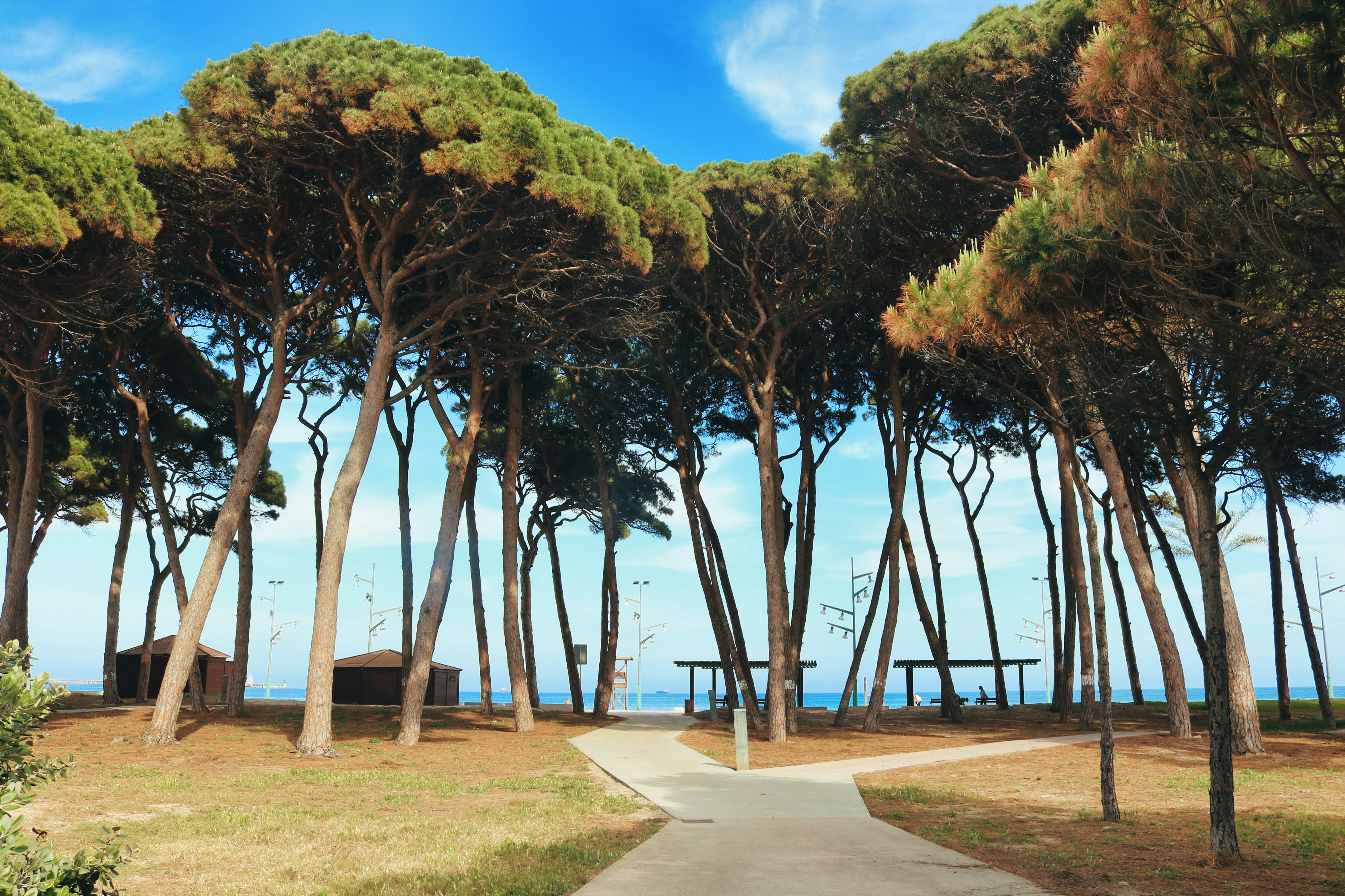 Photo by timothynblake