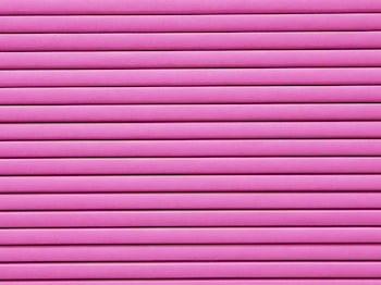 Horizontal pink blinds or slats cover the entire frame, creating a pattern of alternating light and shadow.