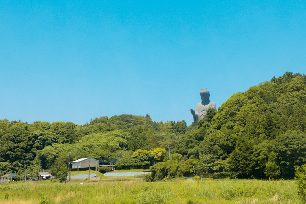 uma grande estátua de uma pessoa no meio de um campo