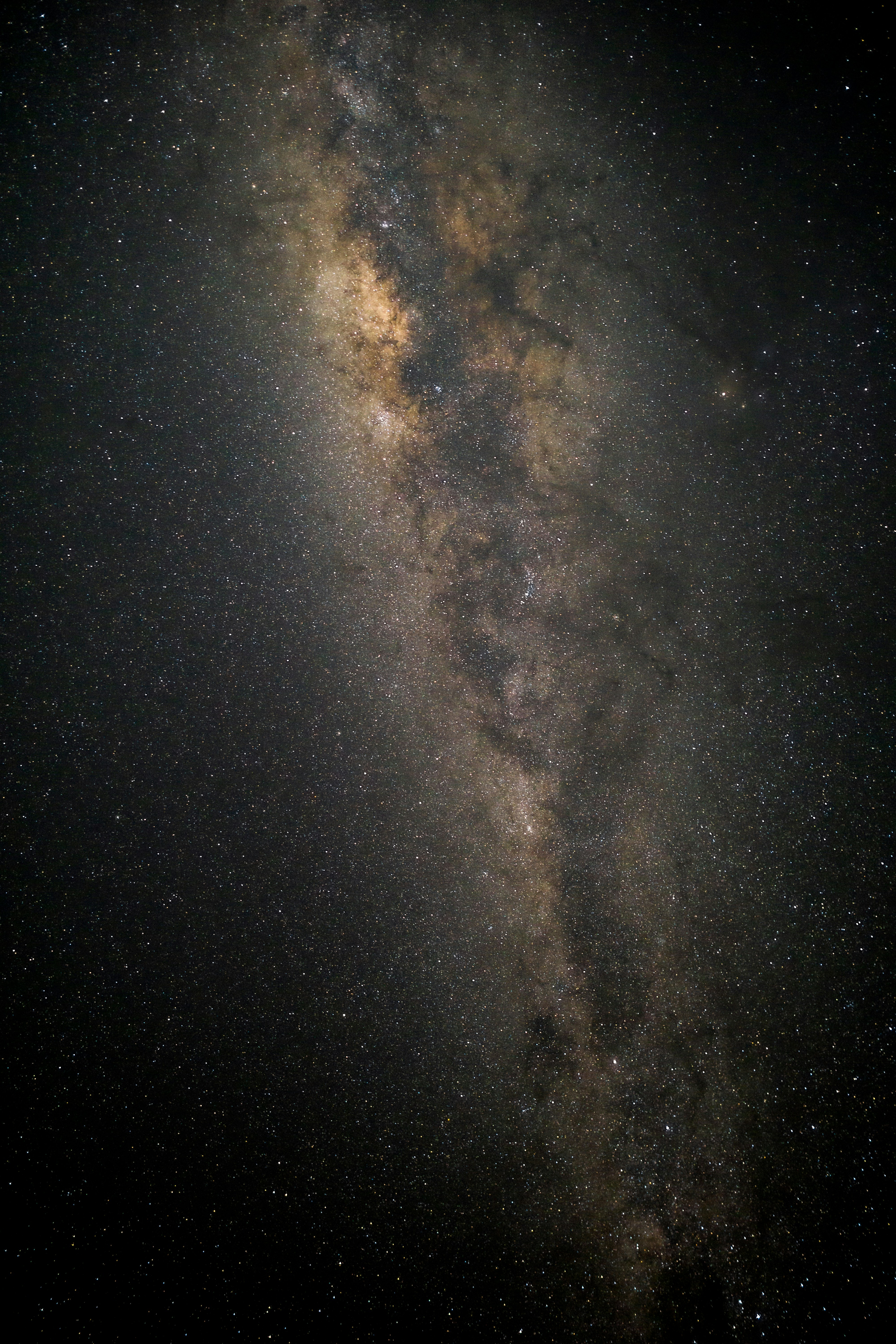 Photo by nature_photography_by_luca