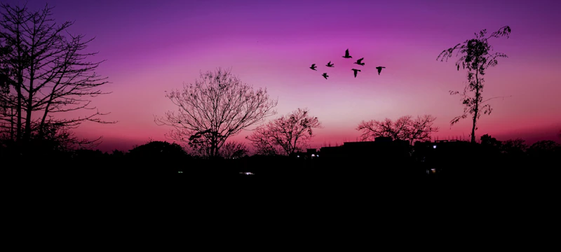 The Perfect One-Day Itinerary in Ranchi: Where to Go and When