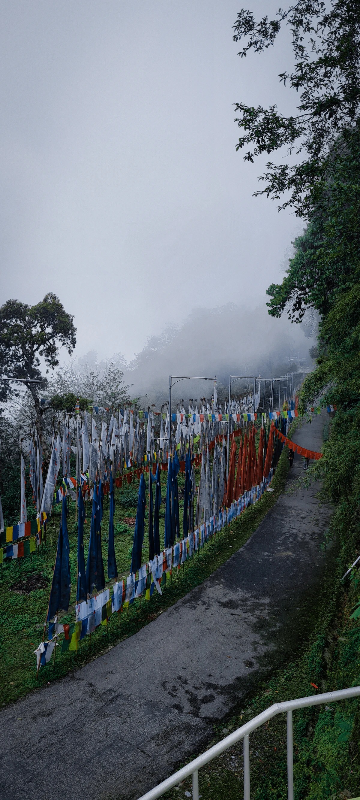 Tall prayer flags lining a misty hillside path in Namchi, South Sikkim, with forest rising on the far side