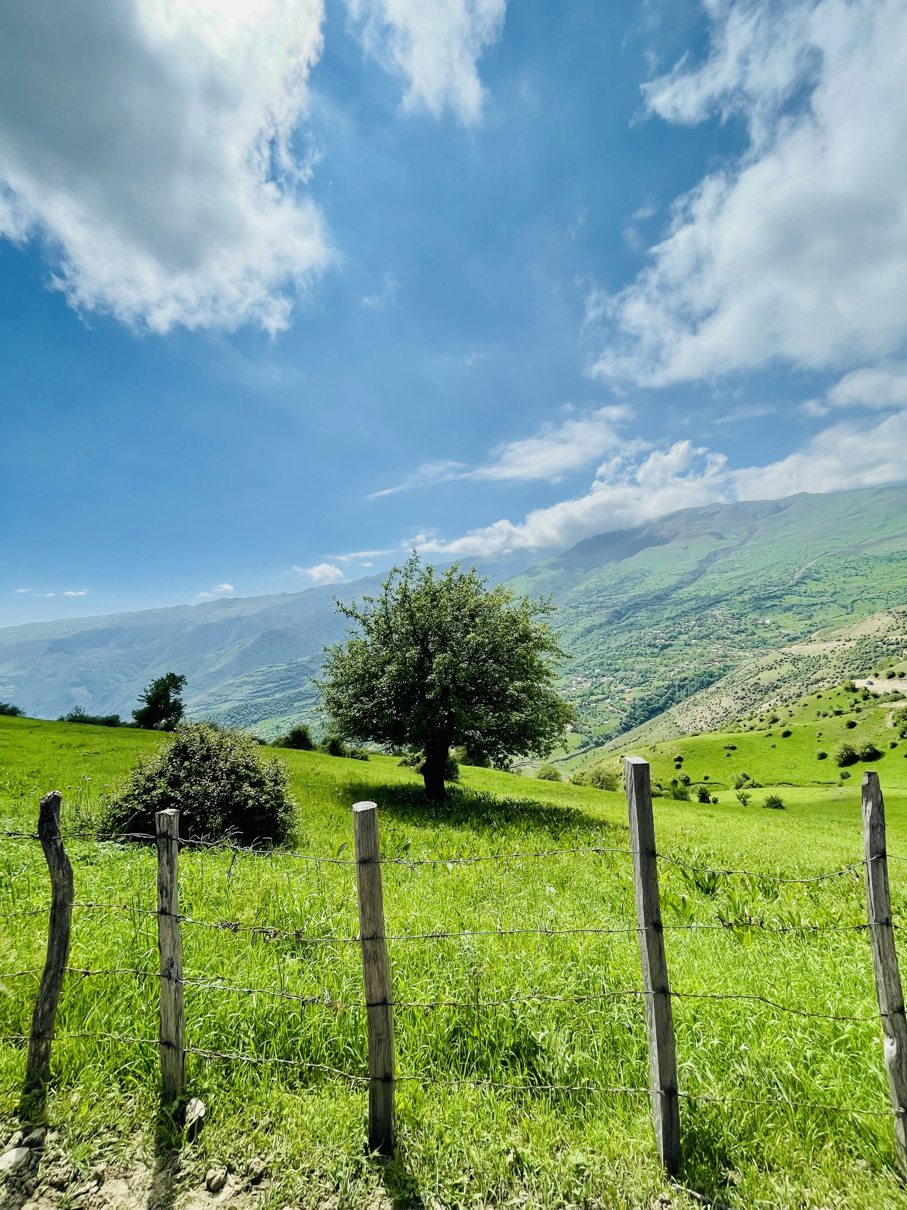 Photo by aliisaiidii