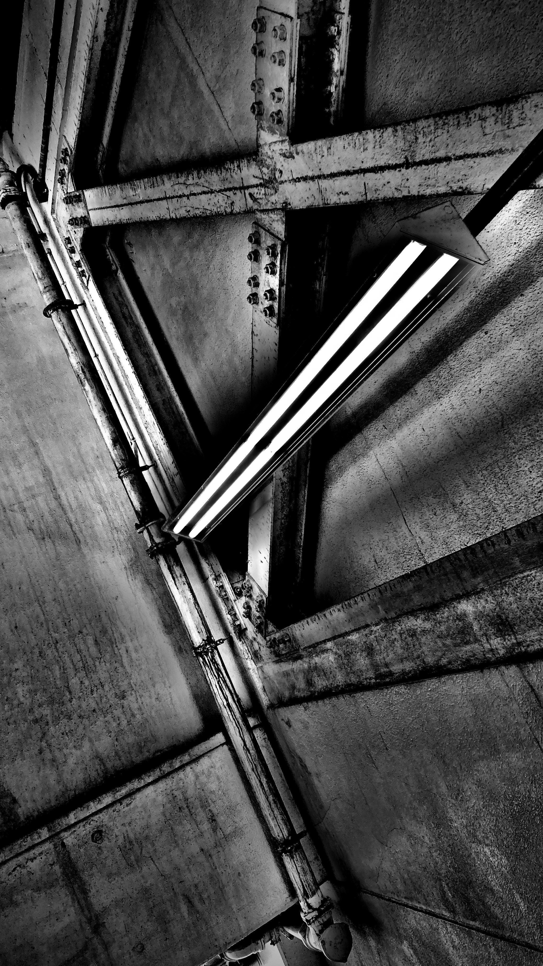 Photo by kojikithekid