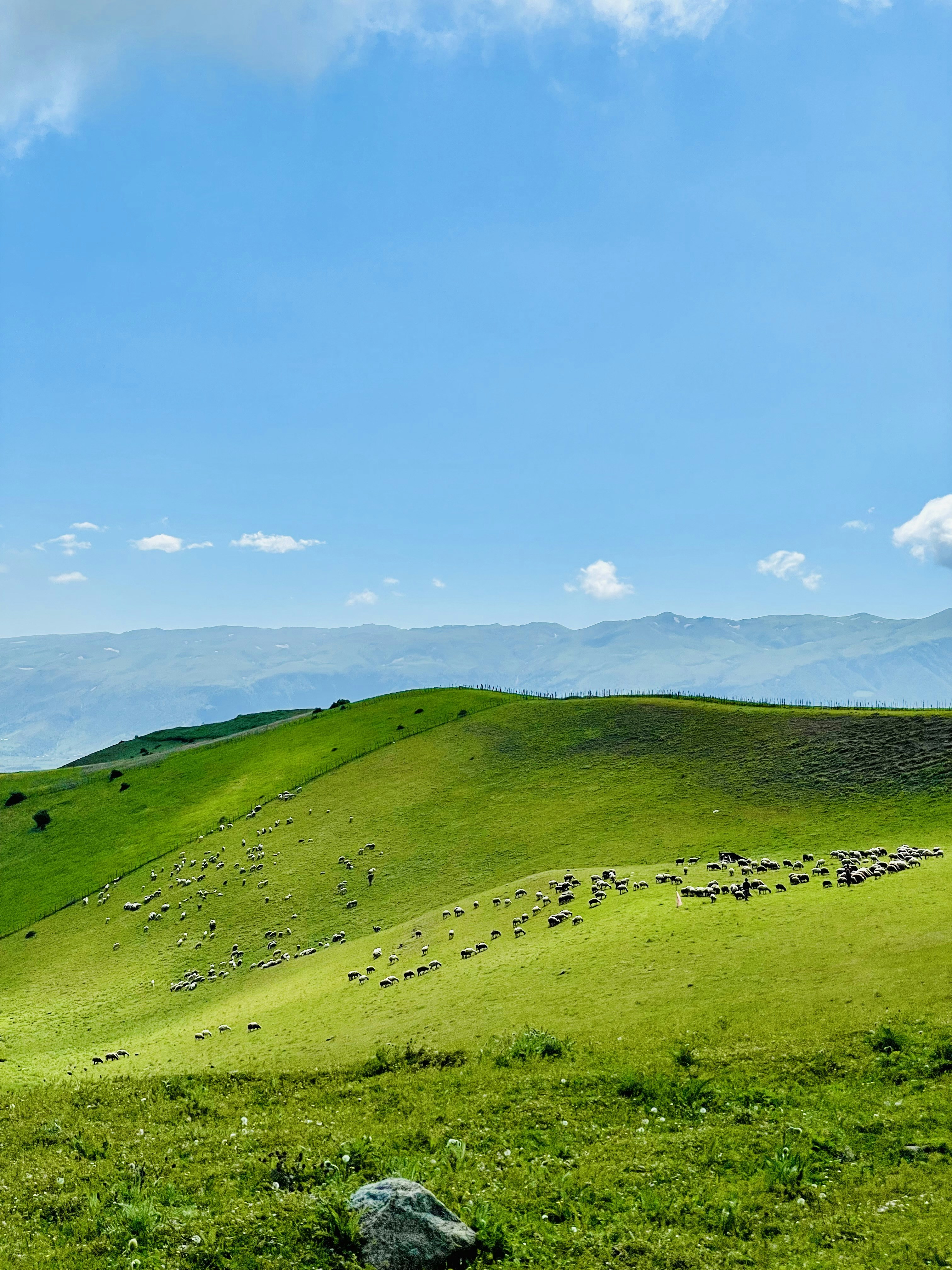 Photo by aliisaiidii