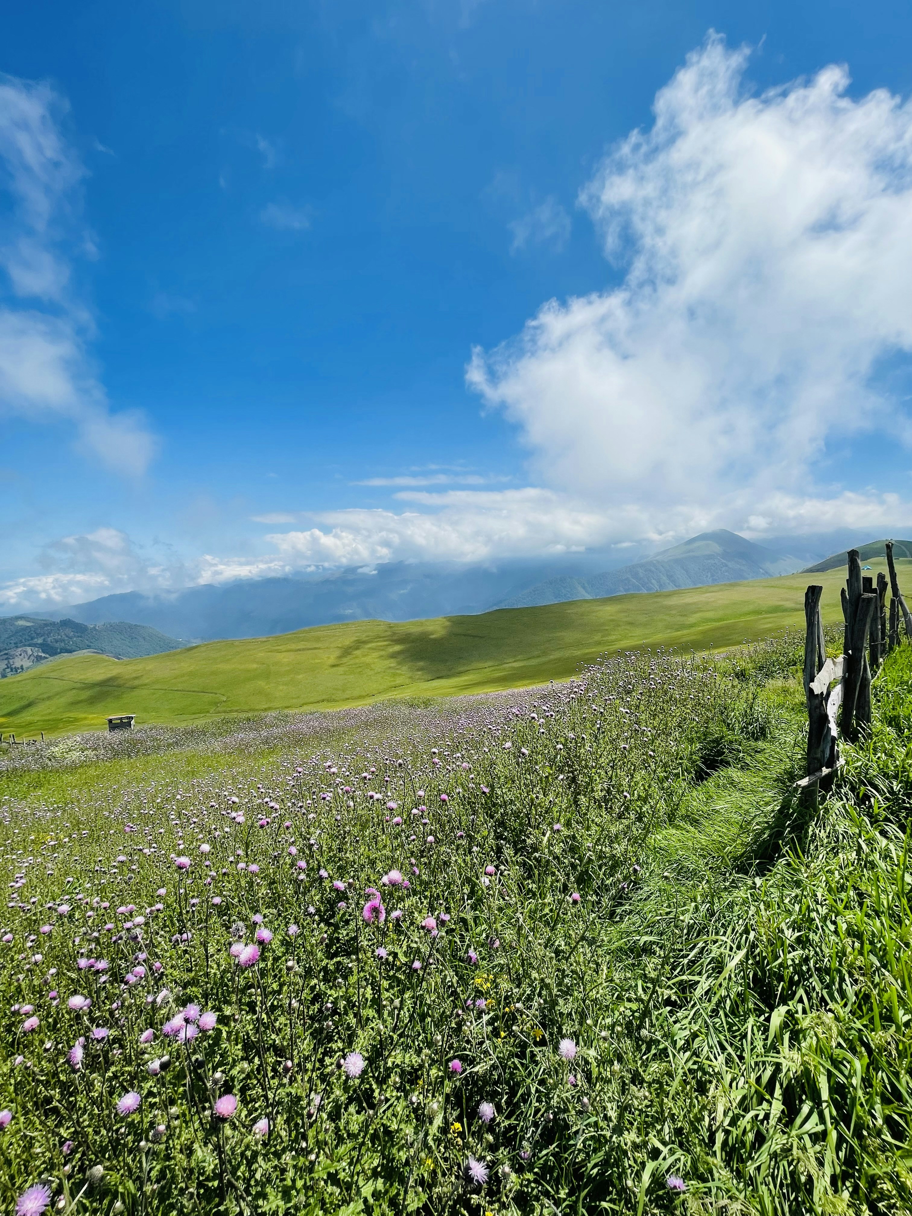 Photo by aliisaiidii