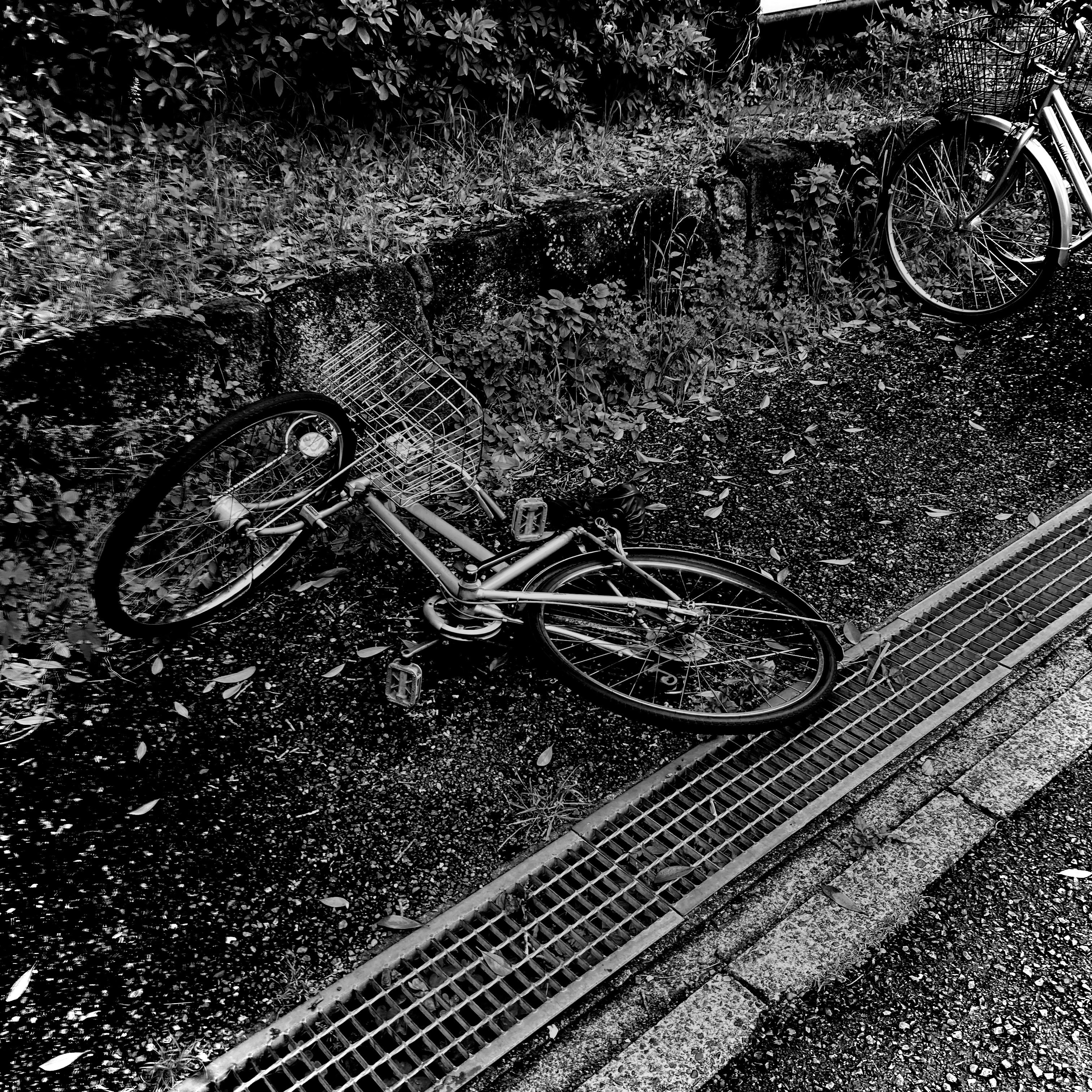 a black and white photo of a bike leaning against a fence