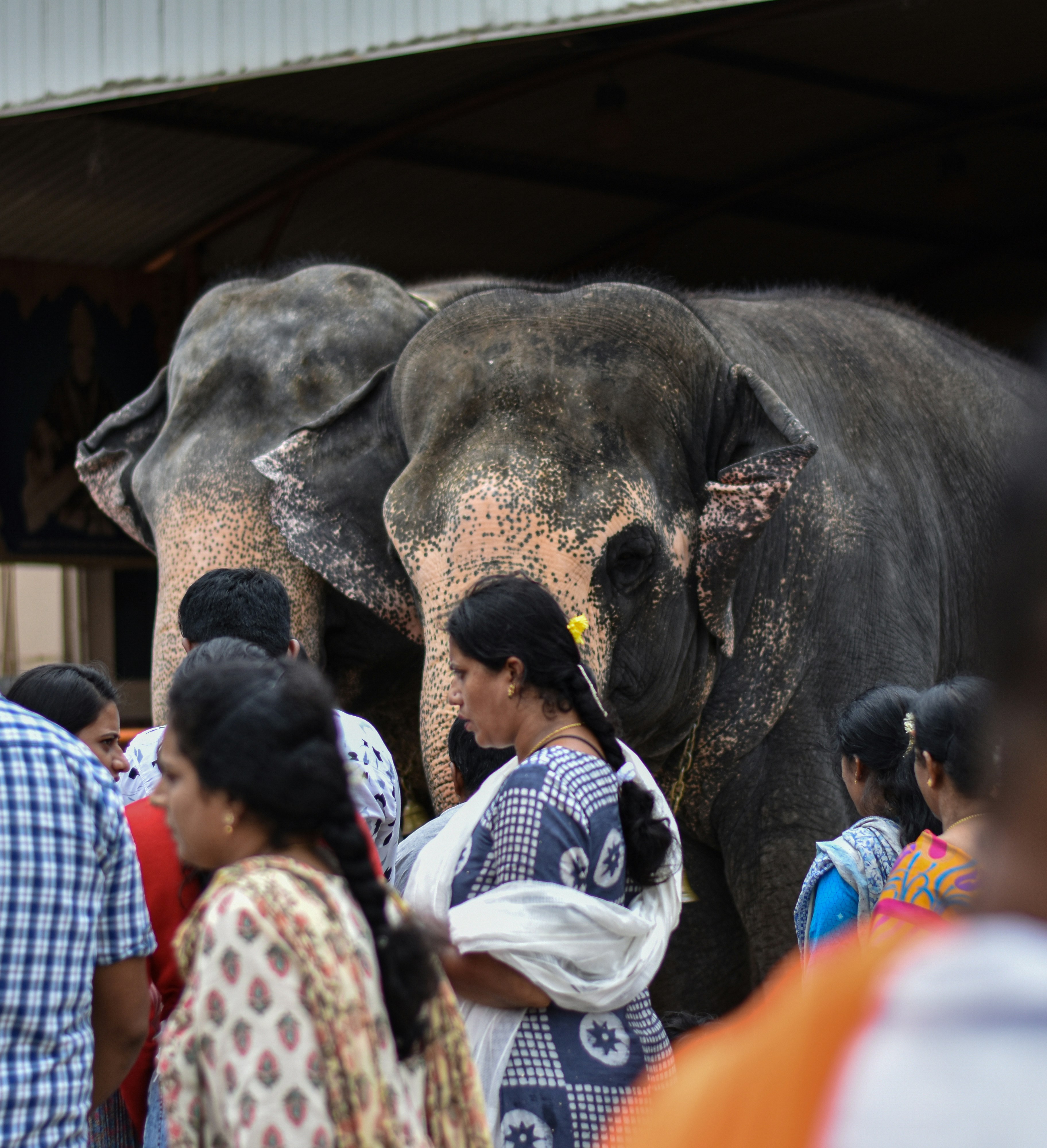 Photo by chandanshastri