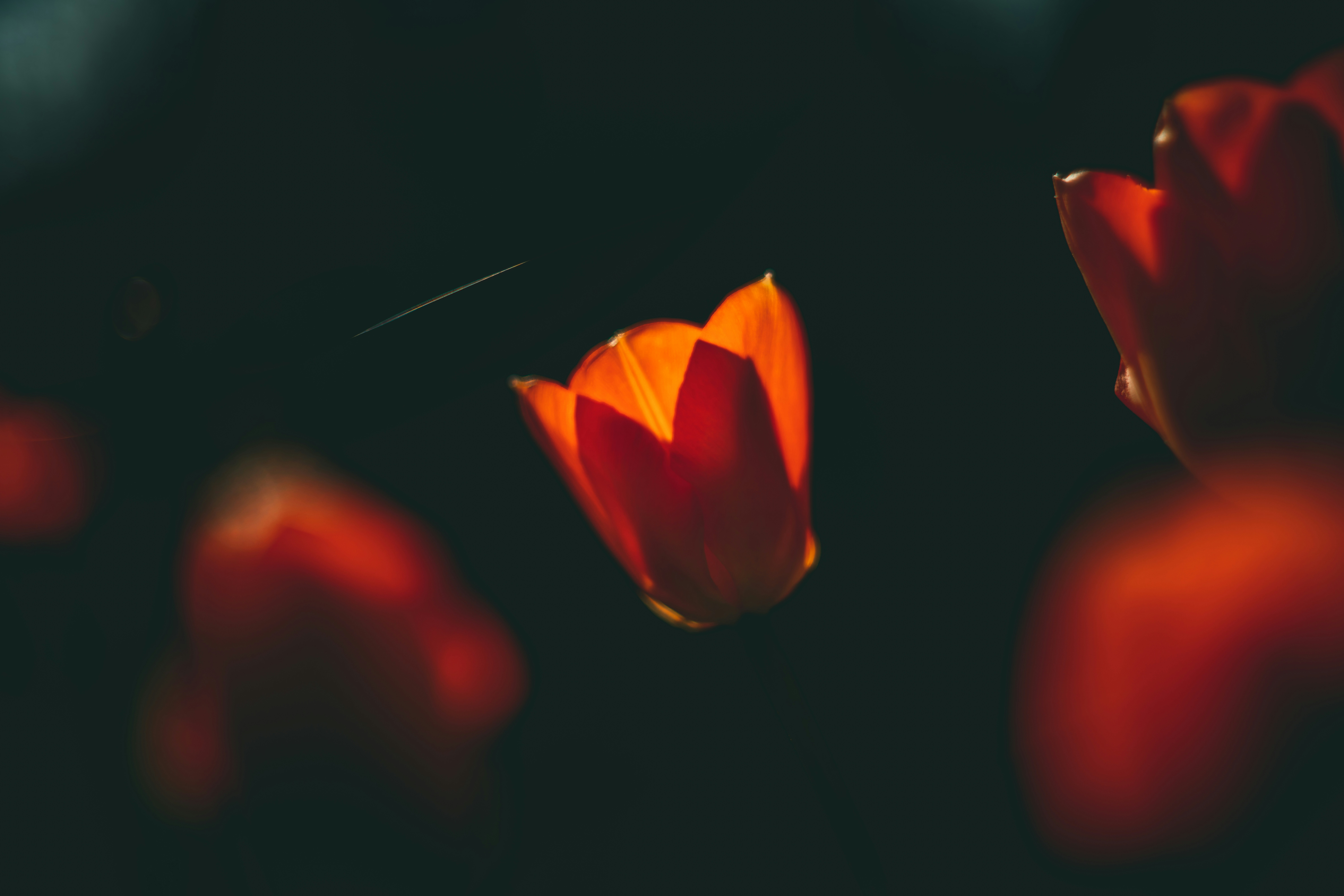 Photo by raimondklavins