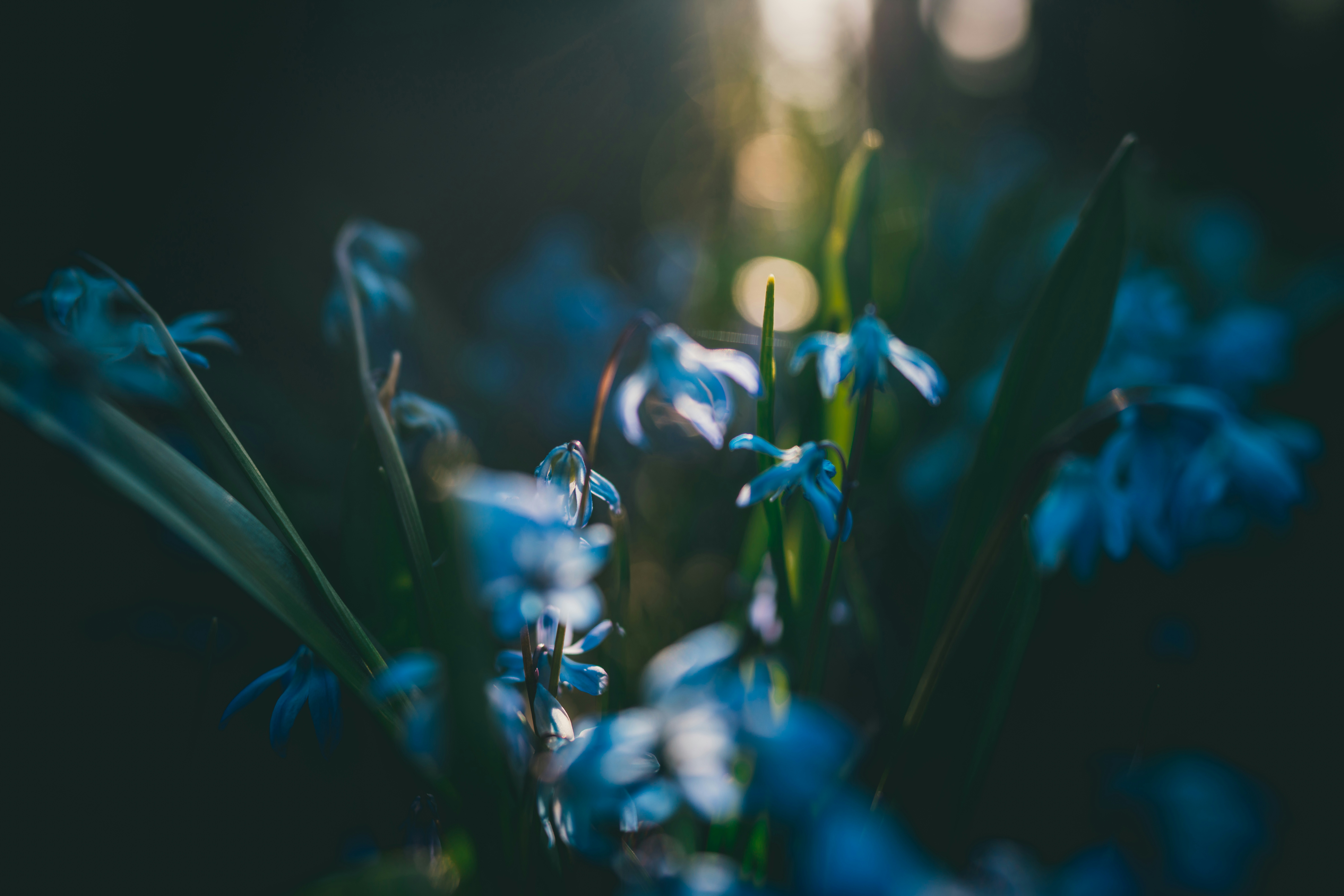 Photo by raimondklavins