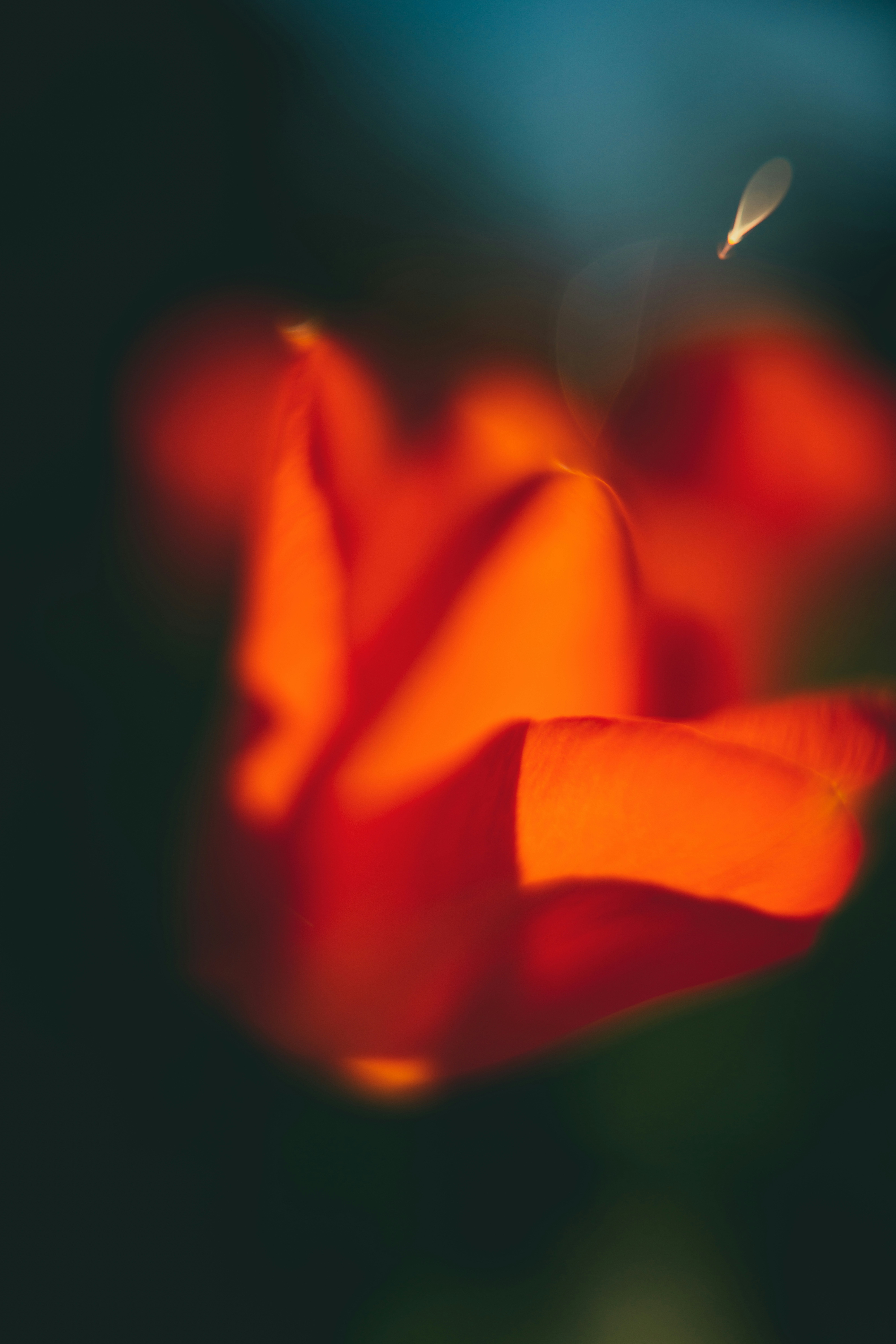 Photo by raimondklavins