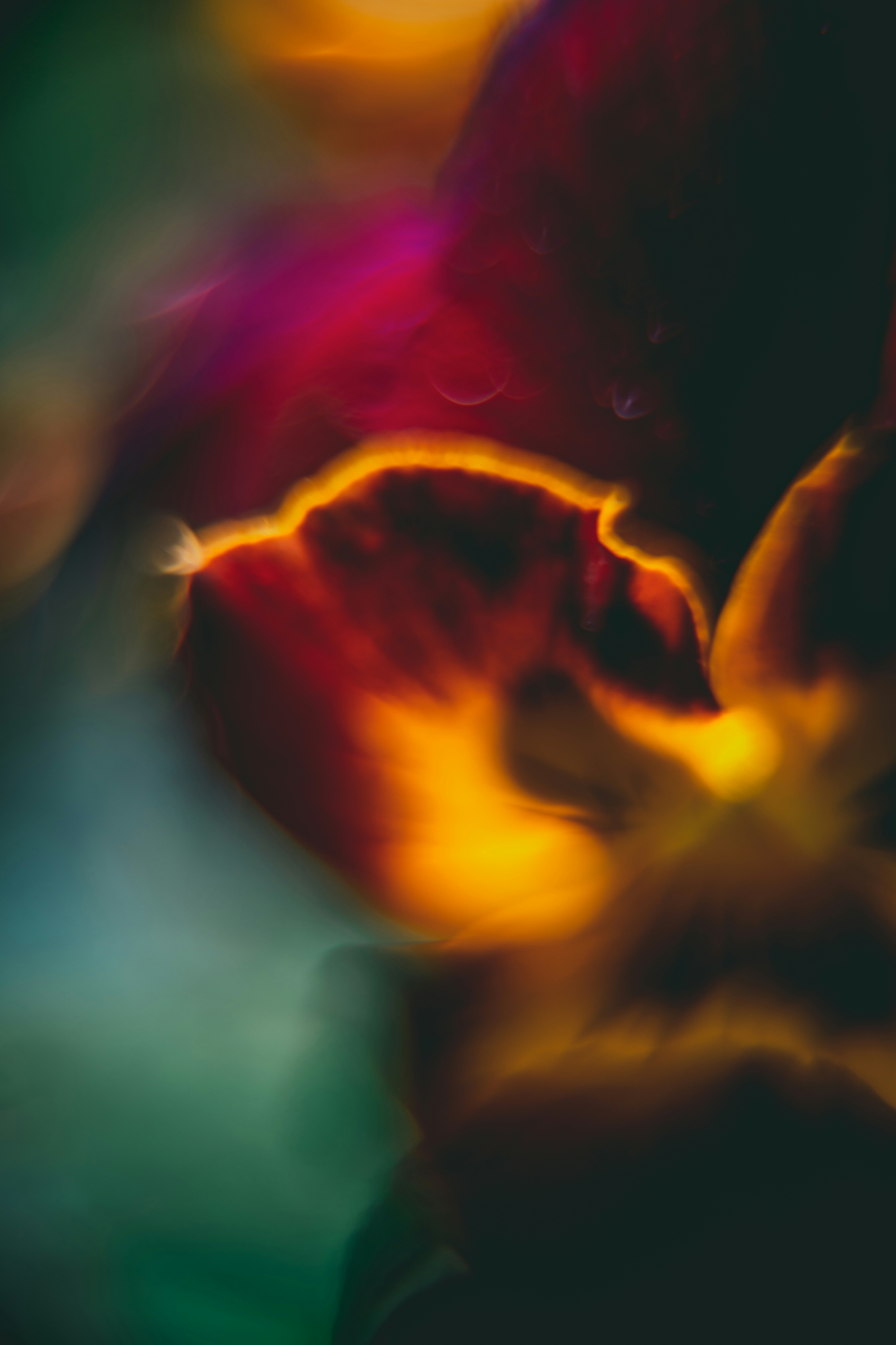 Photo by raimondklavins