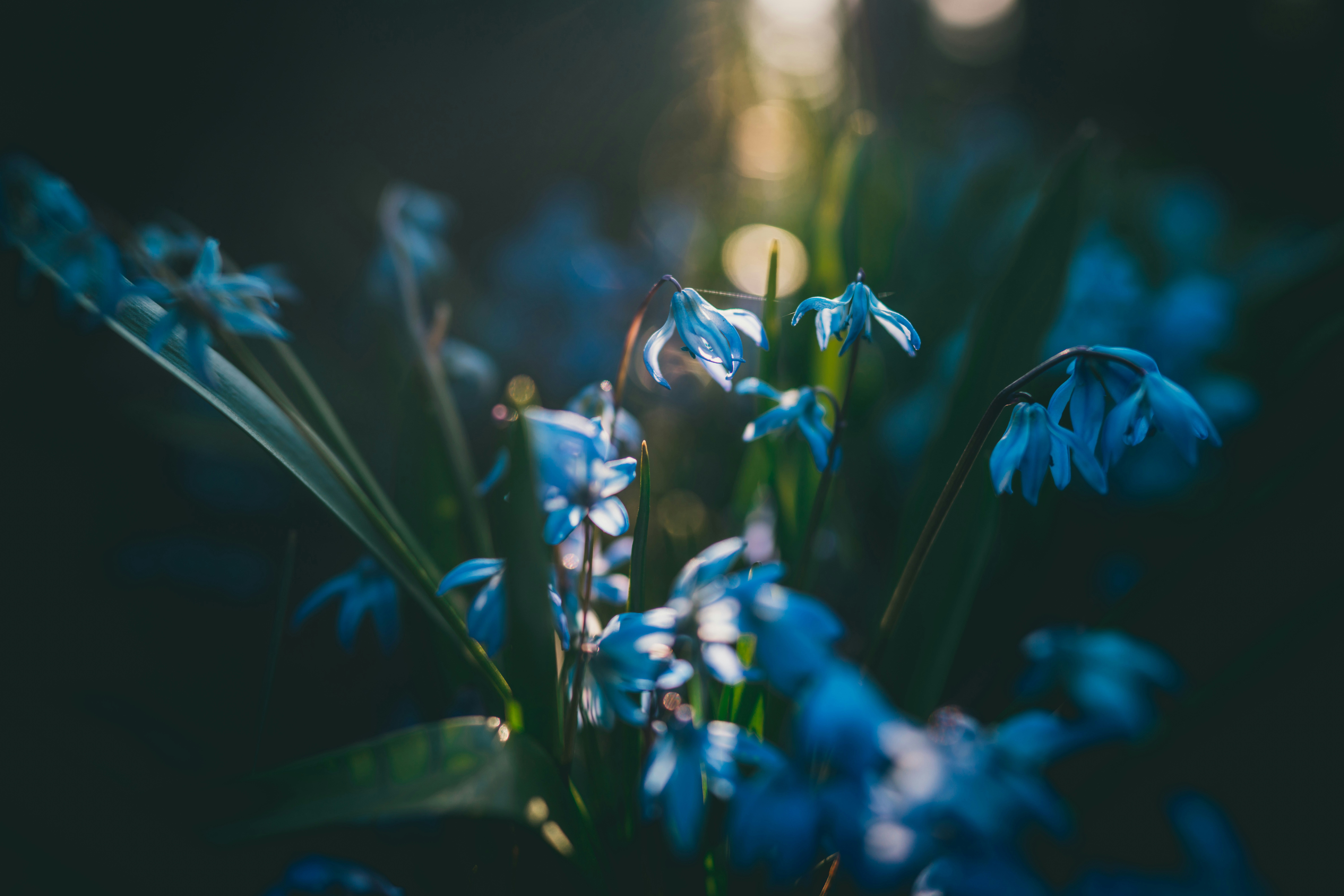 Photo by raimondklavins