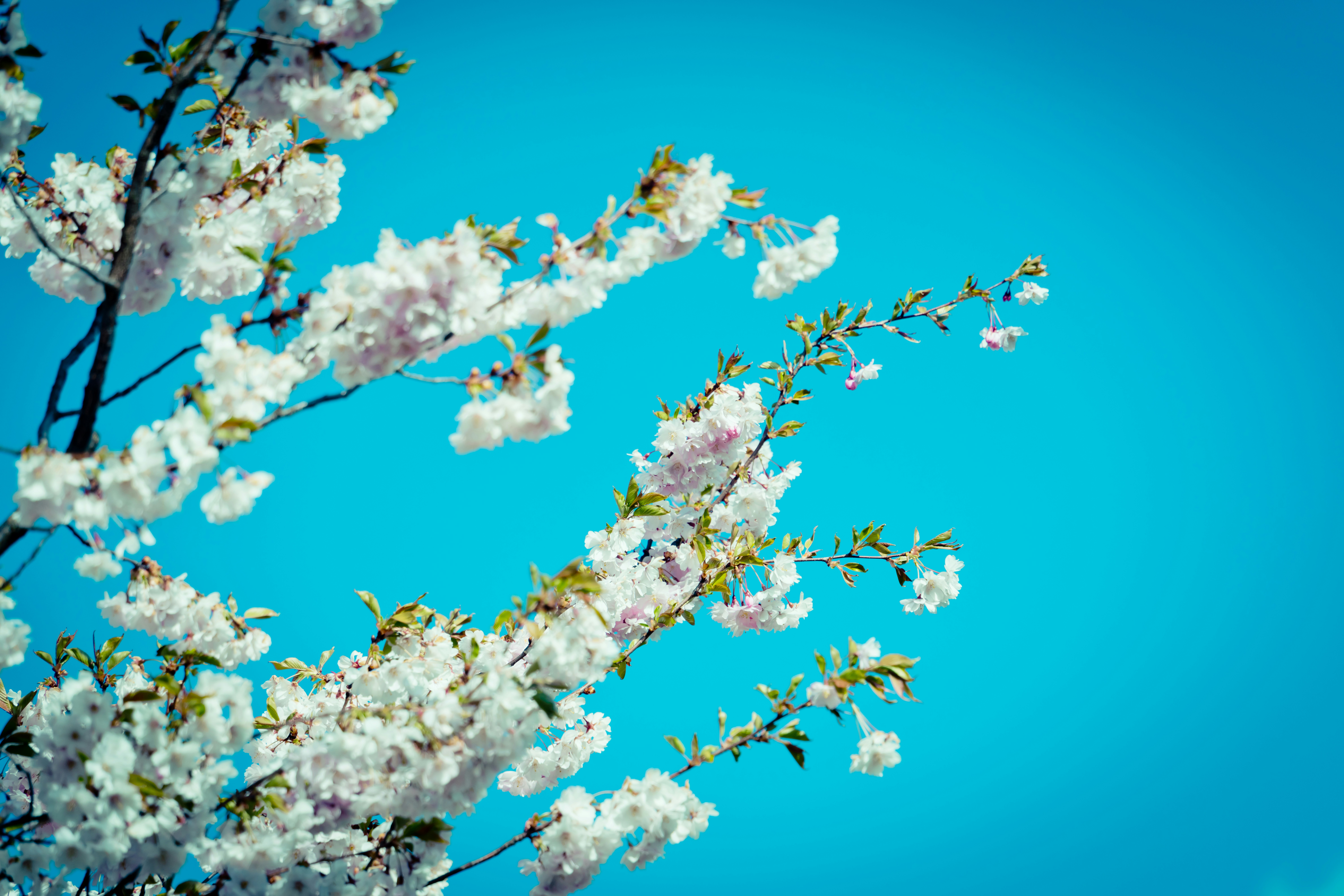 Photo by raimondklavins