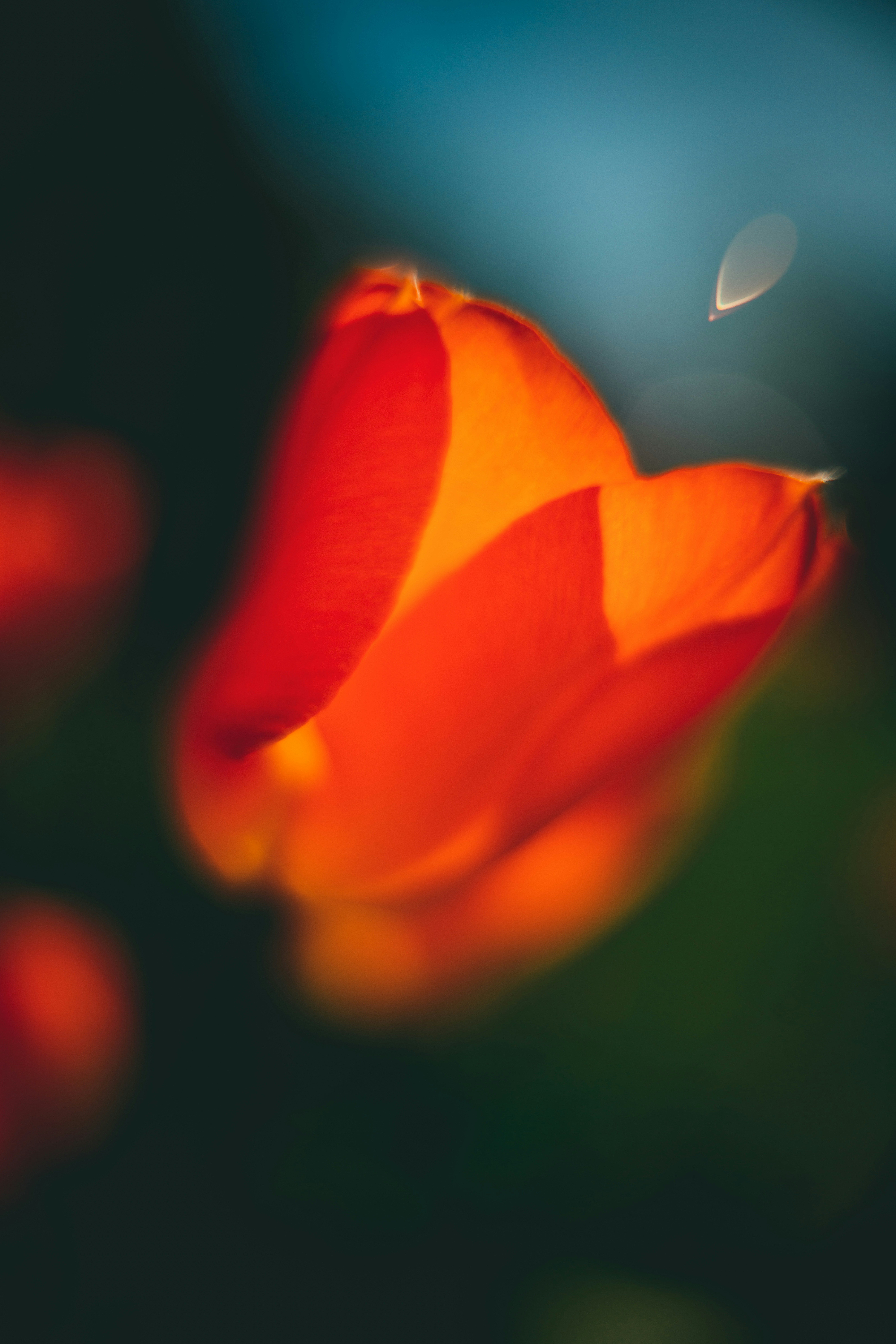 Photo by raimondklavins