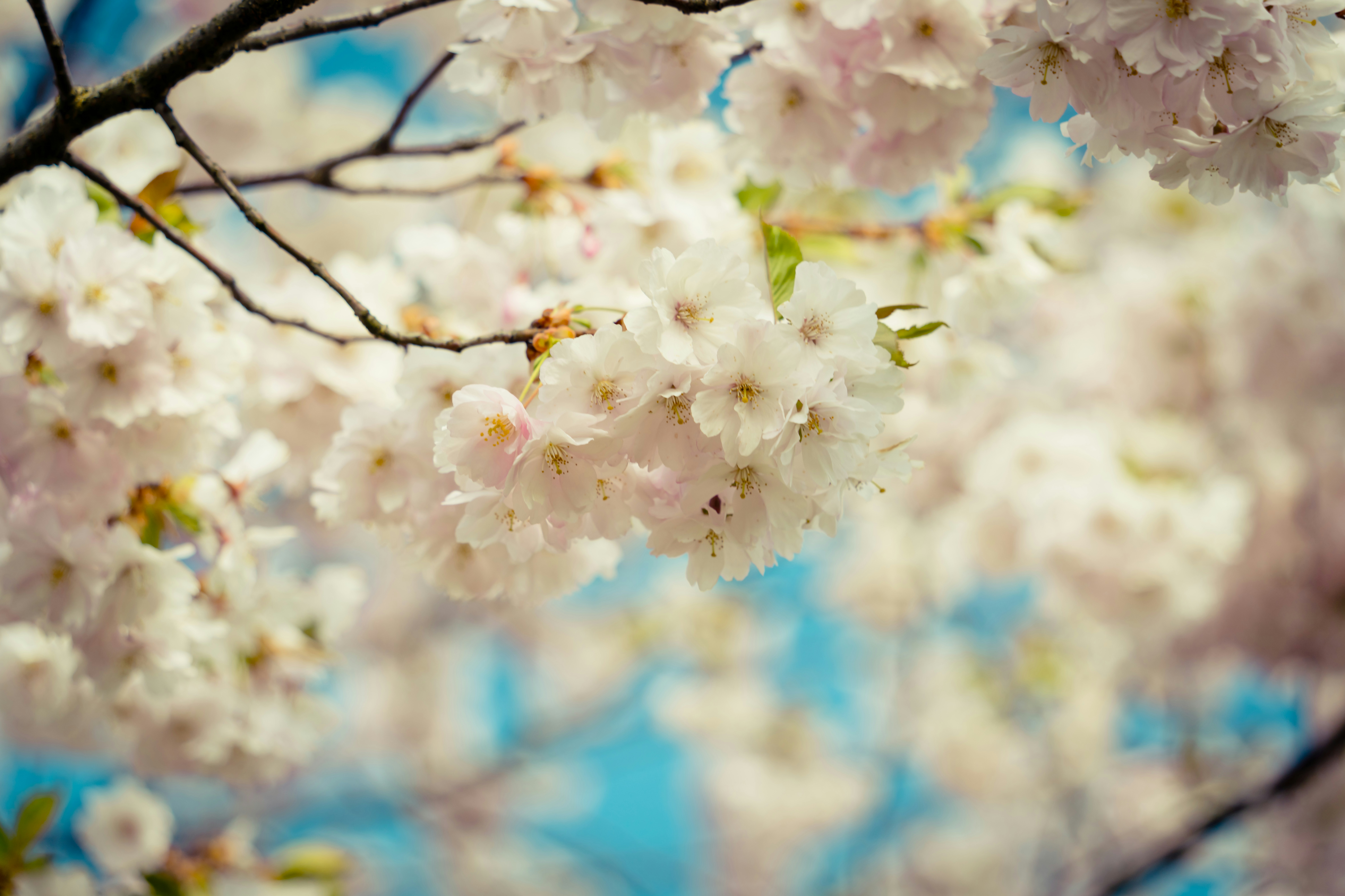 Photo by raimondklavins