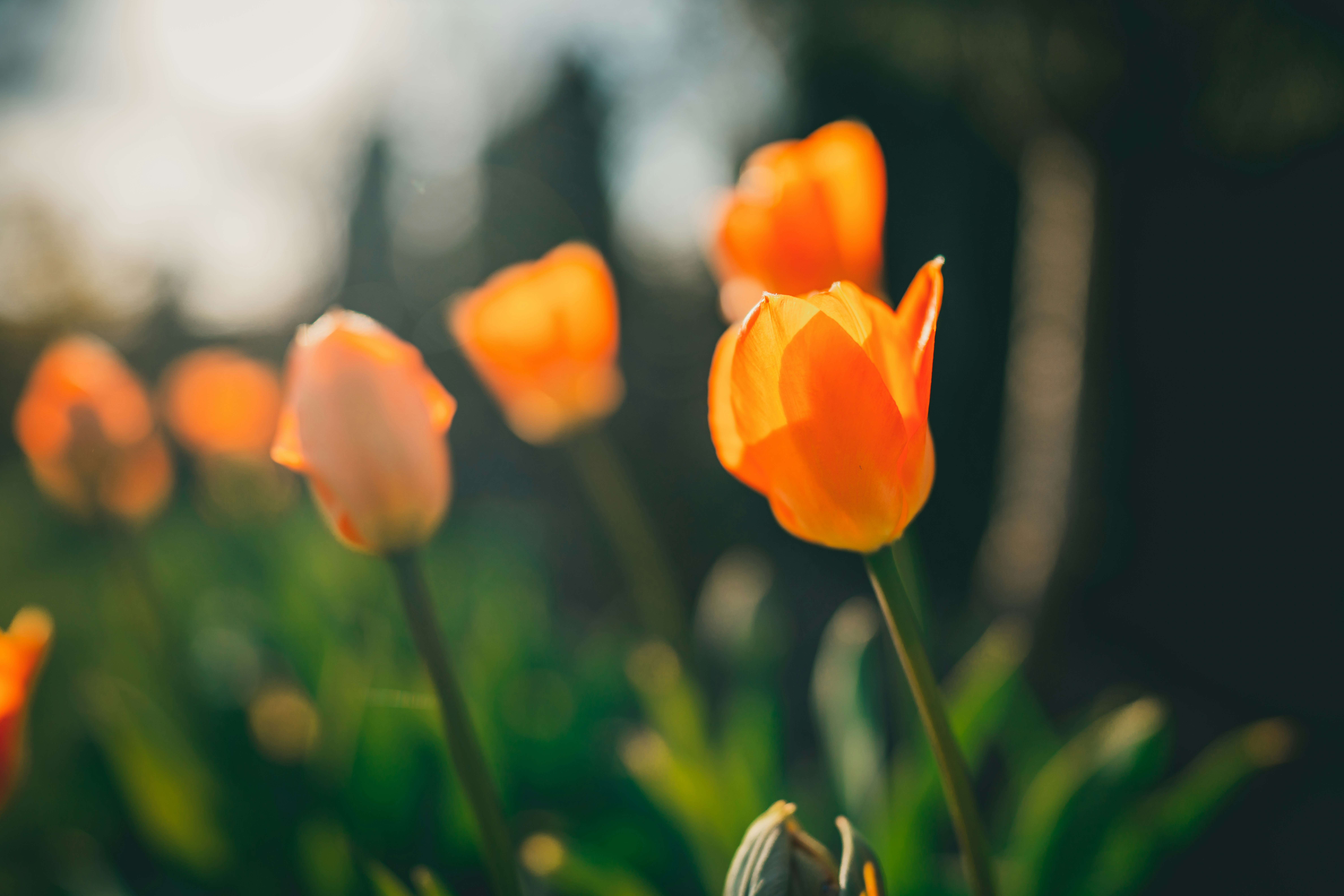 Photo by raimondklavins