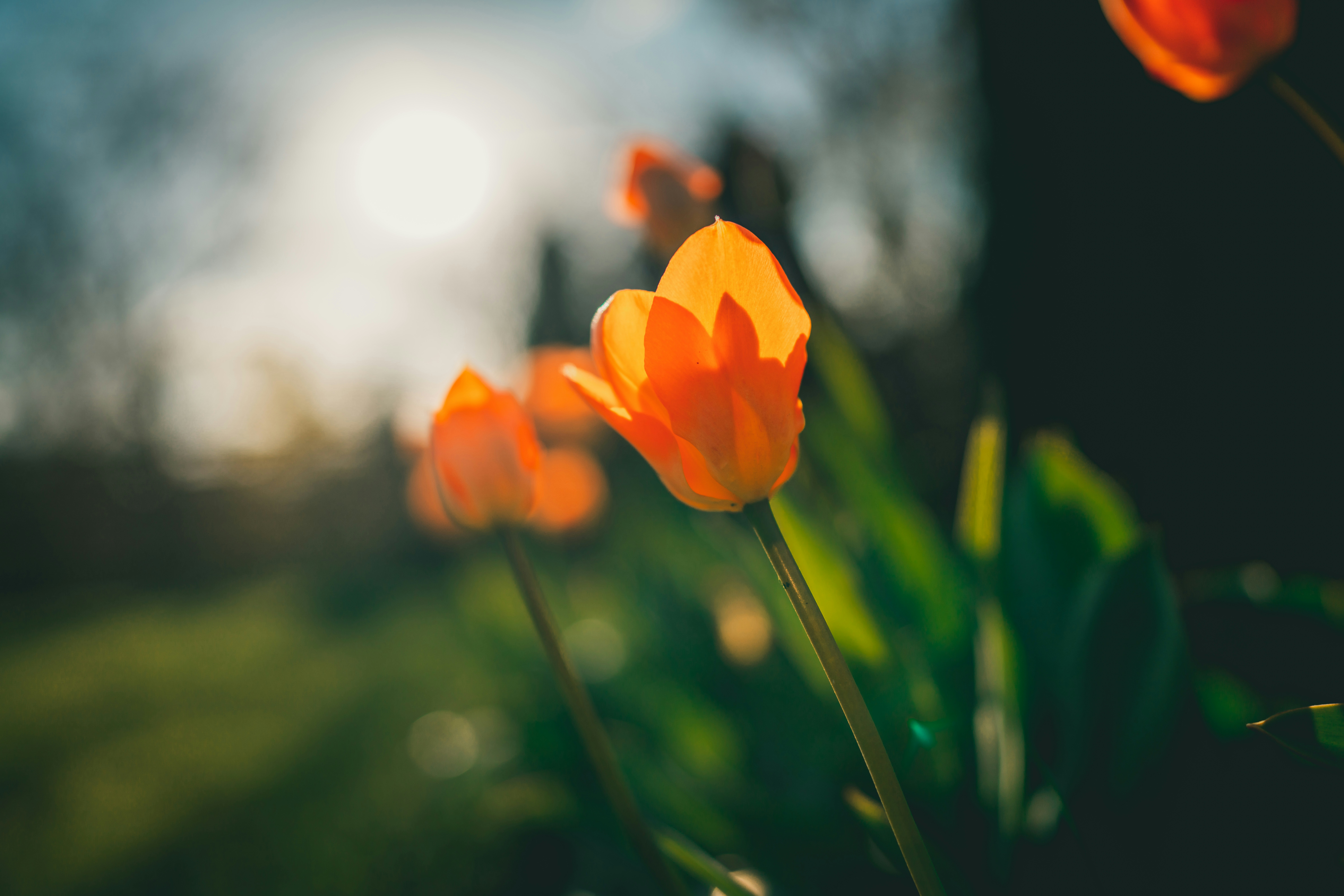 Photo by raimondklavins