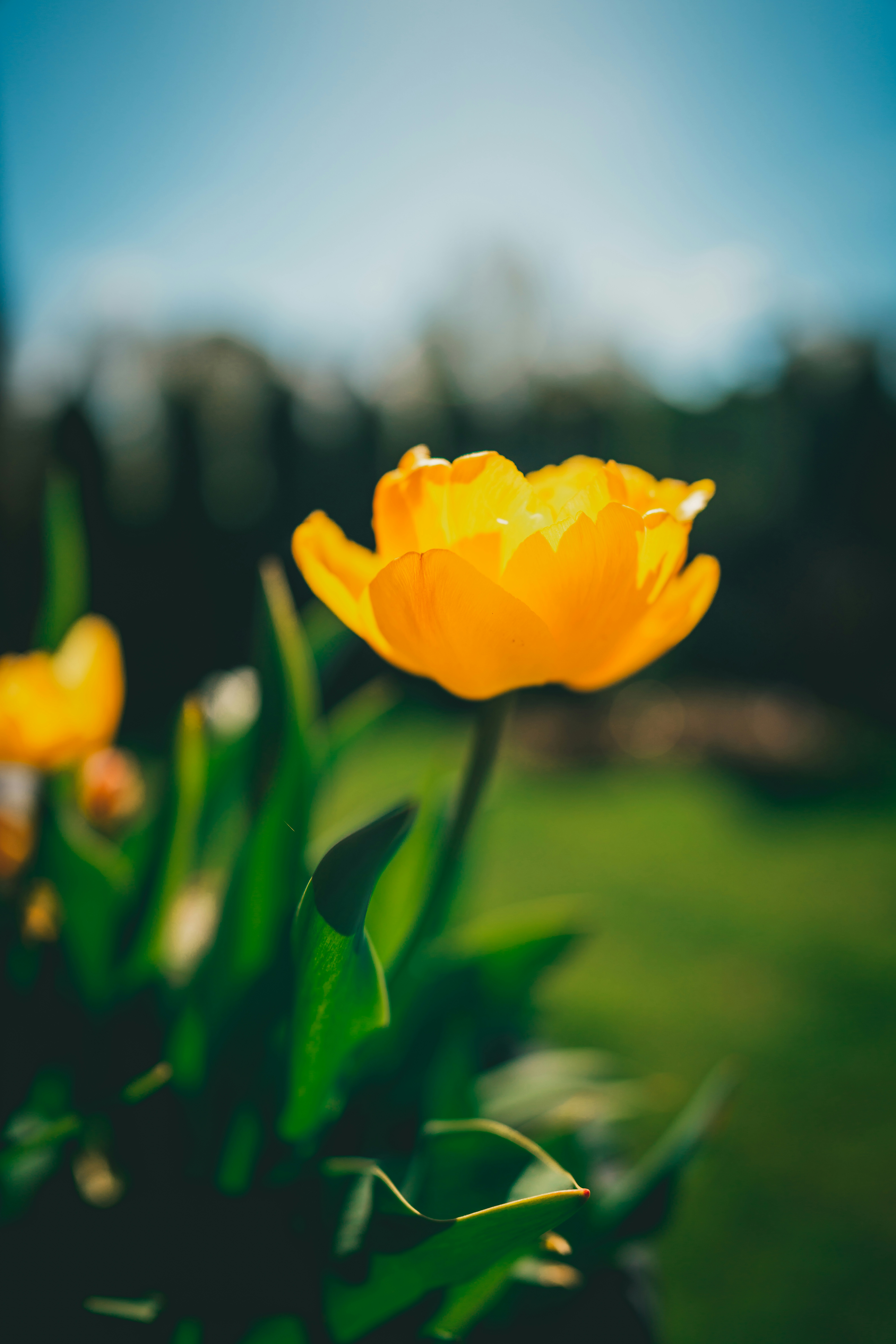 Photo by raimondklavins