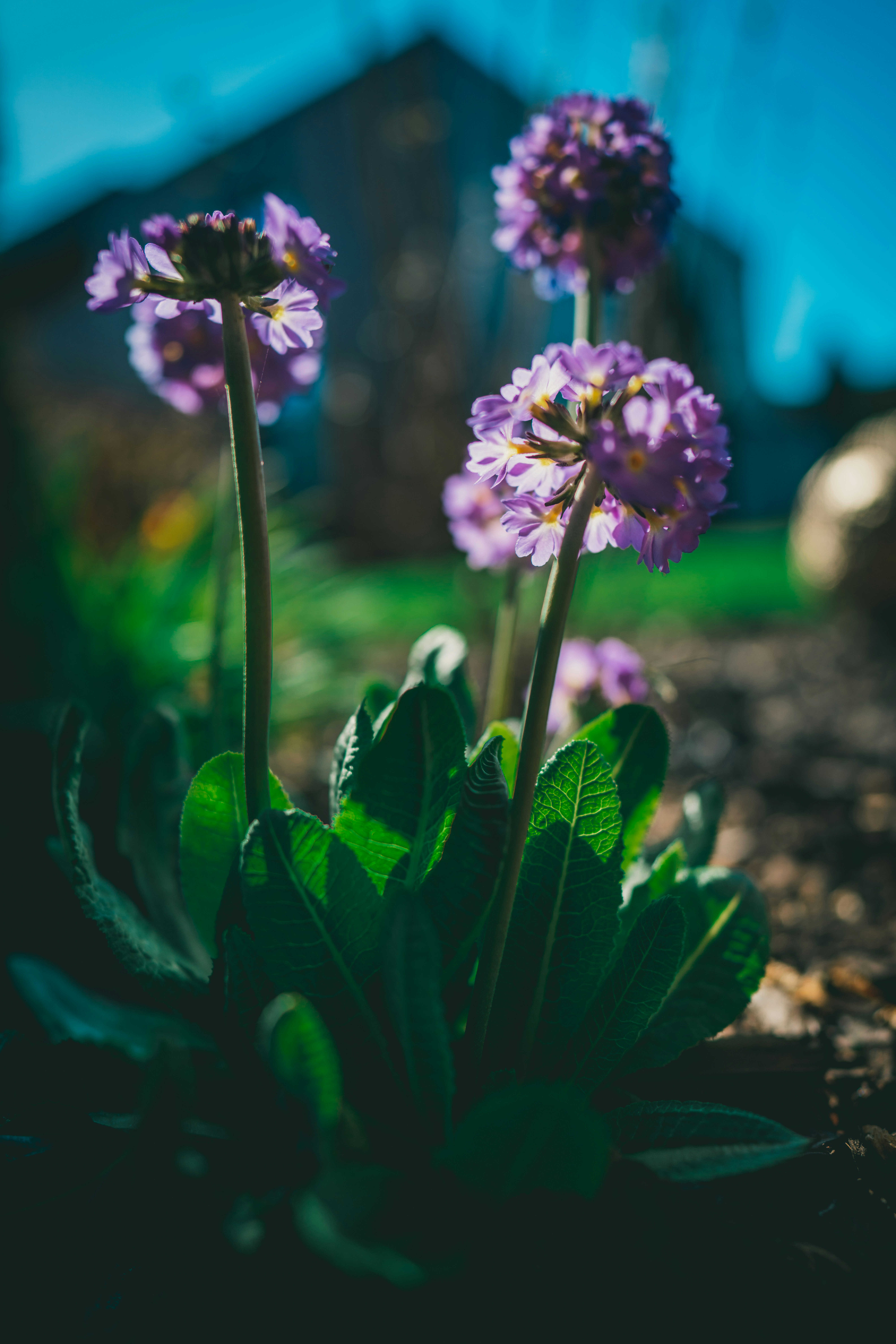 Photo by raimondklavins