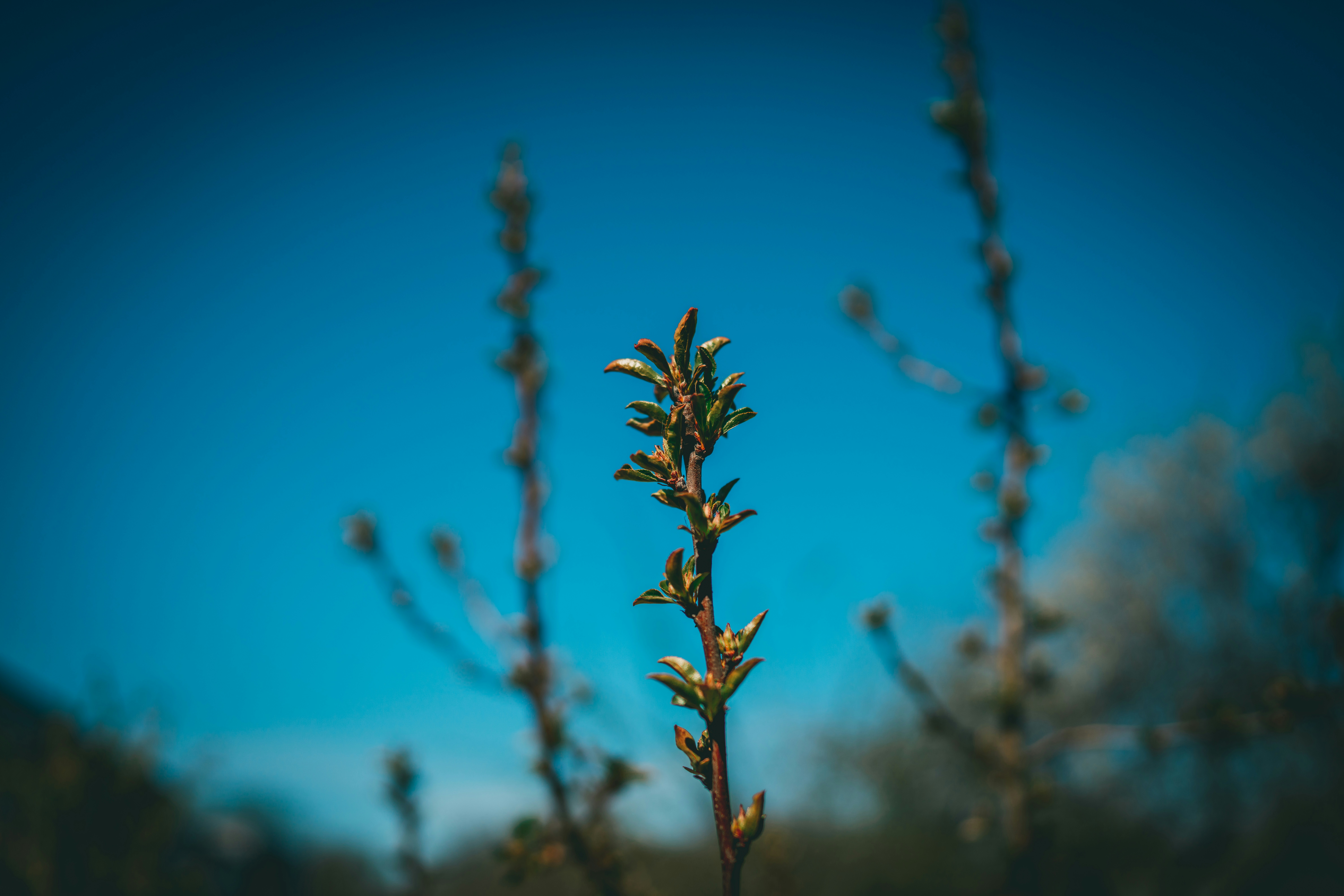 Photo by raimondklavins