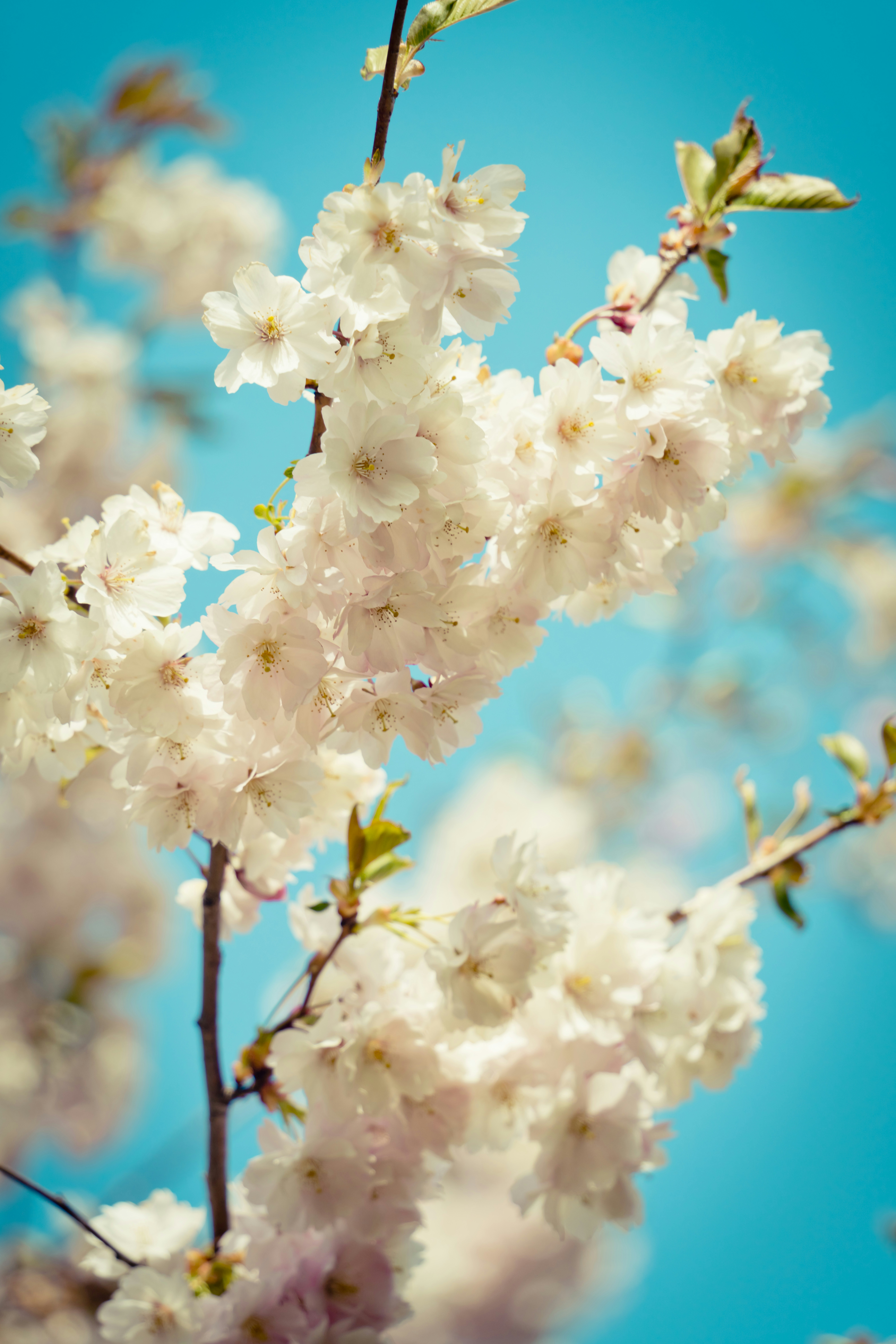 Photo by raimondklavins