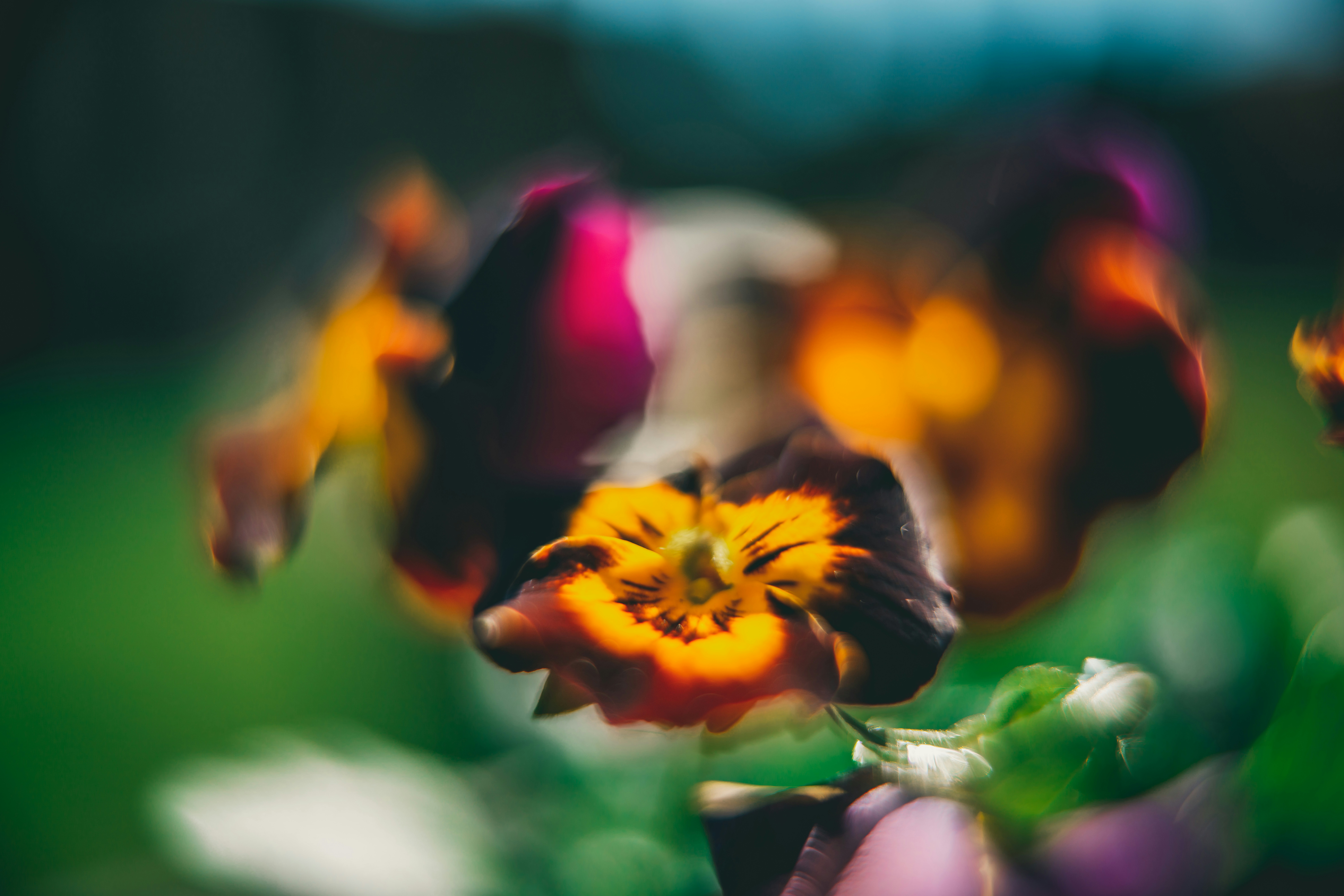 Photo by raimondklavins