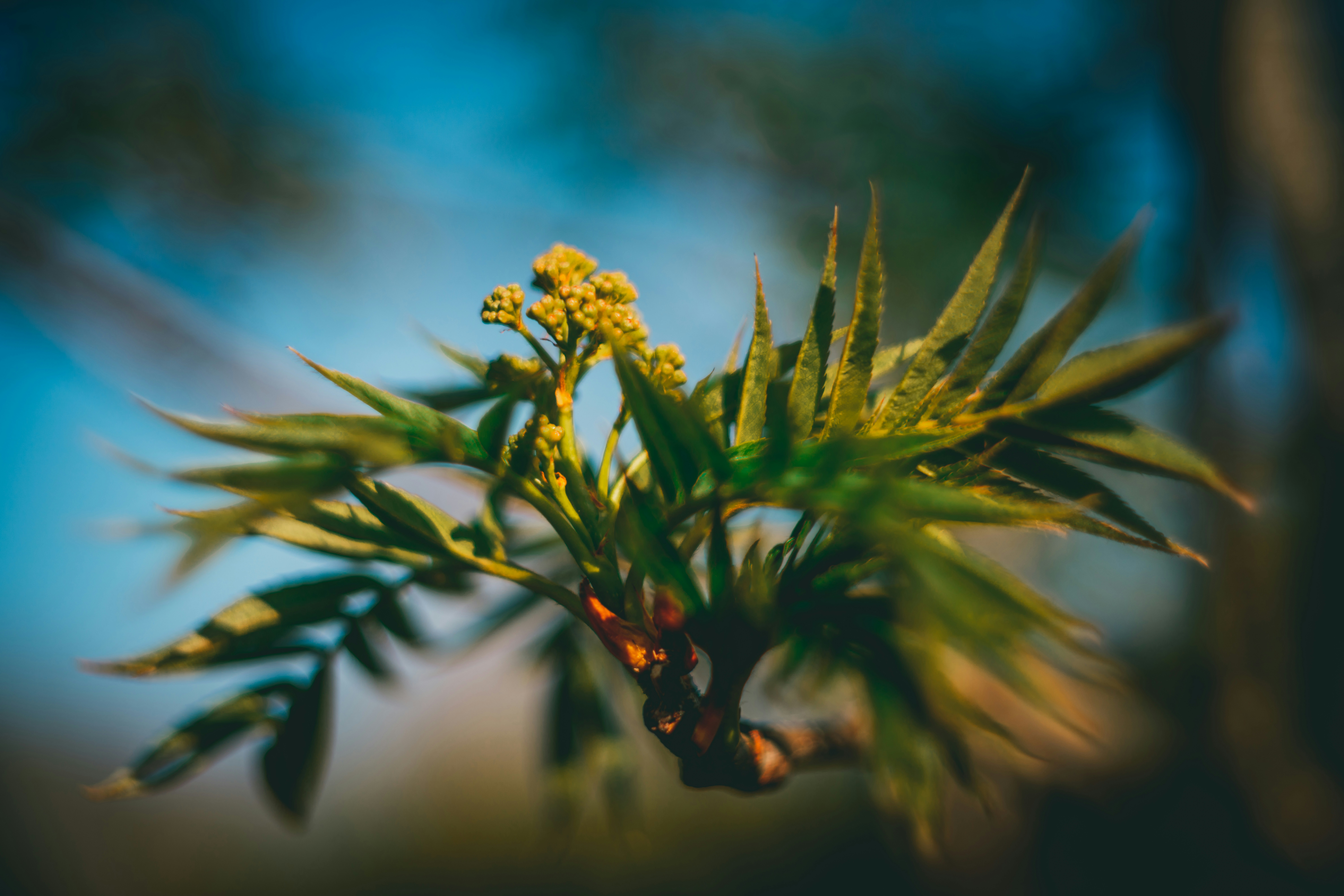 Photo by raimondklavins