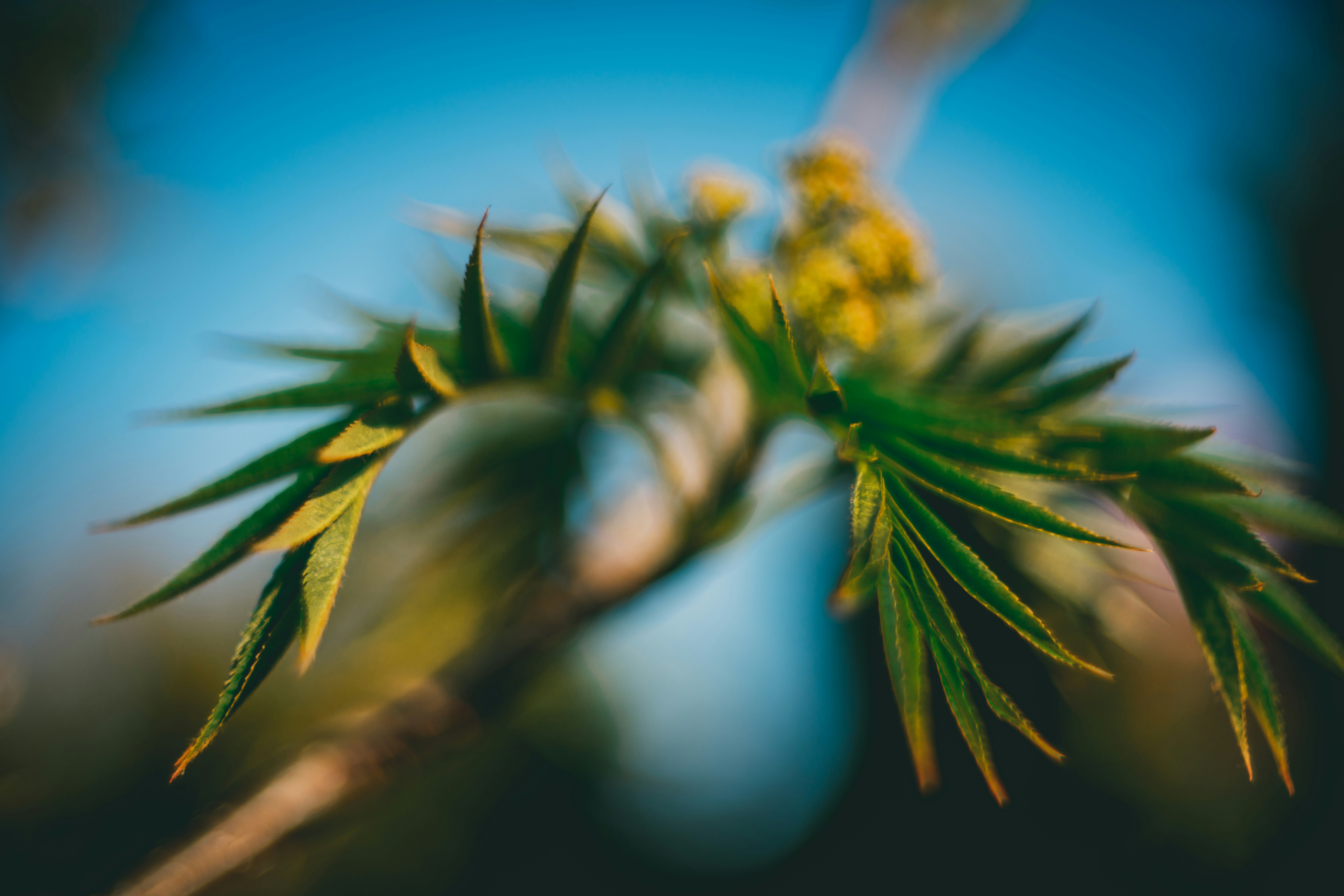 Photo by raimondklavins