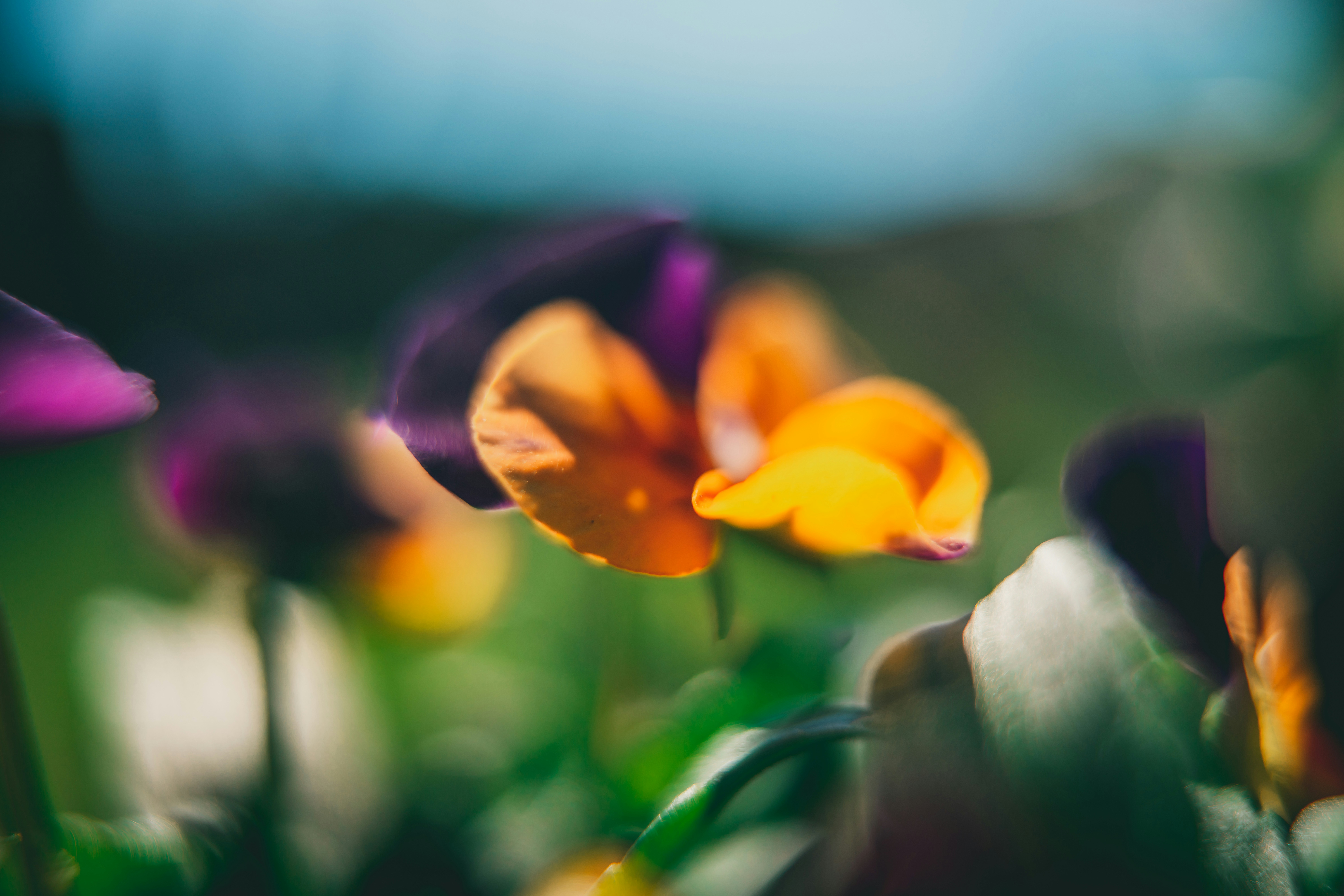 Photo by raimondklavins