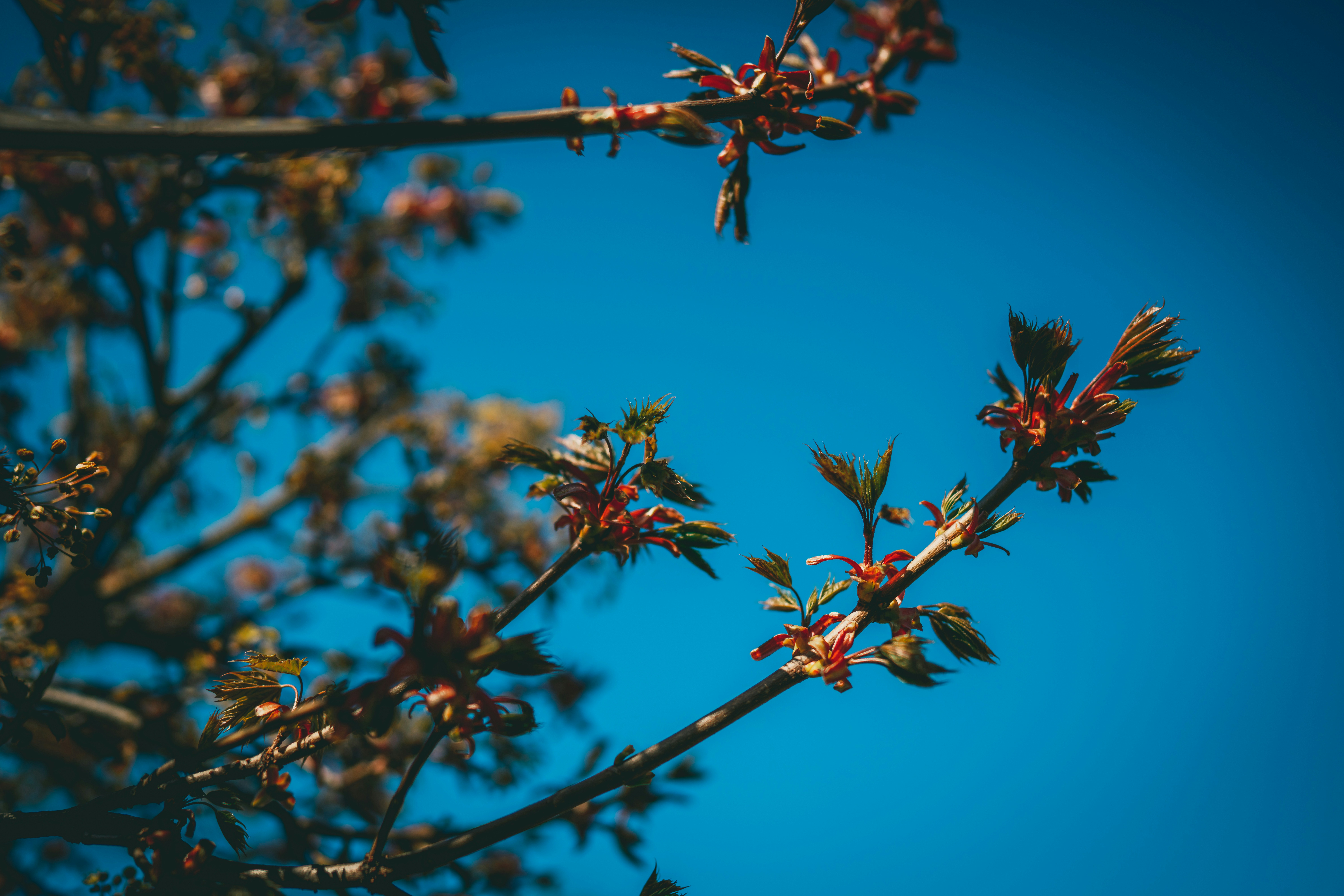 Photo by raimondklavins