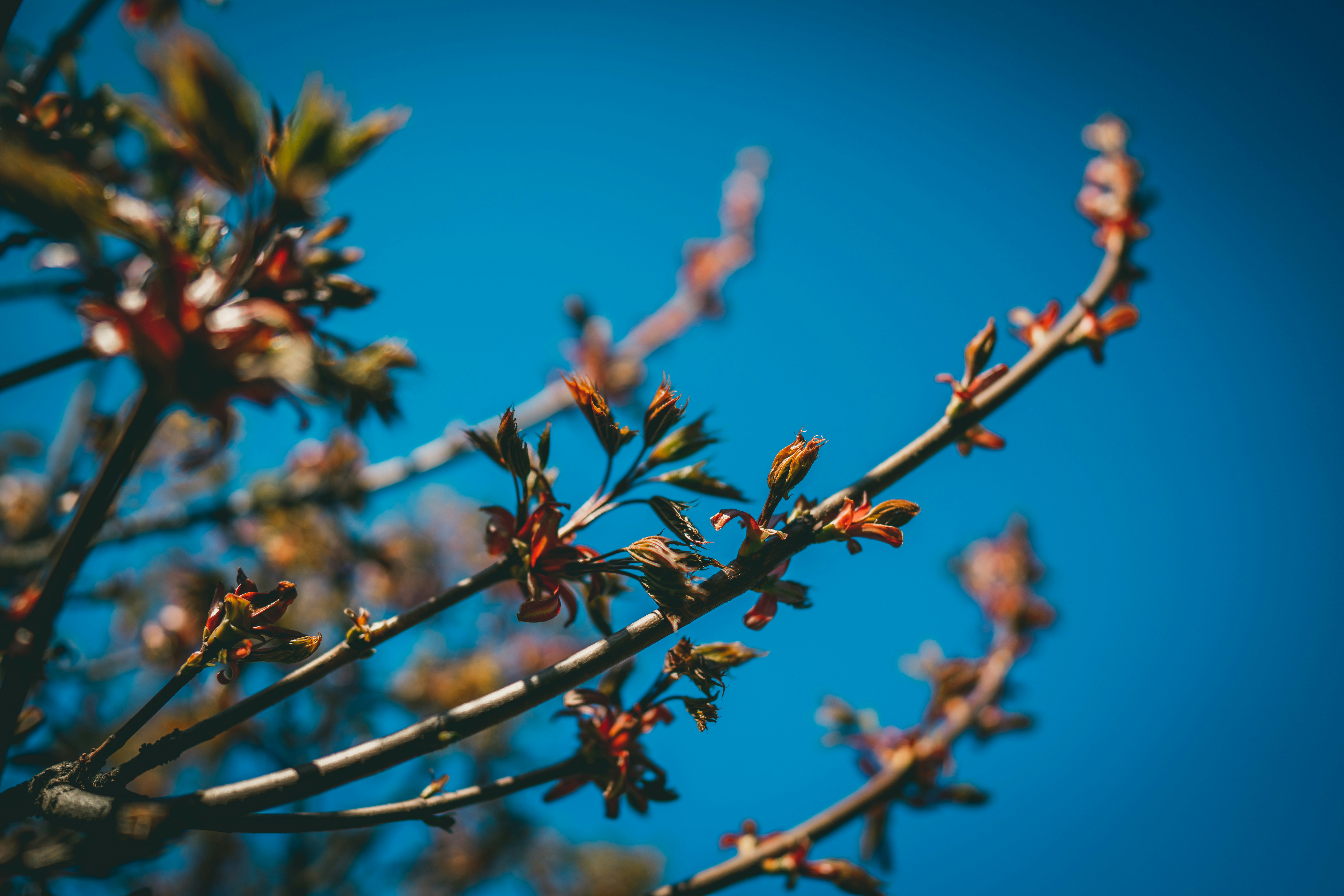 Photo by raimondklavins