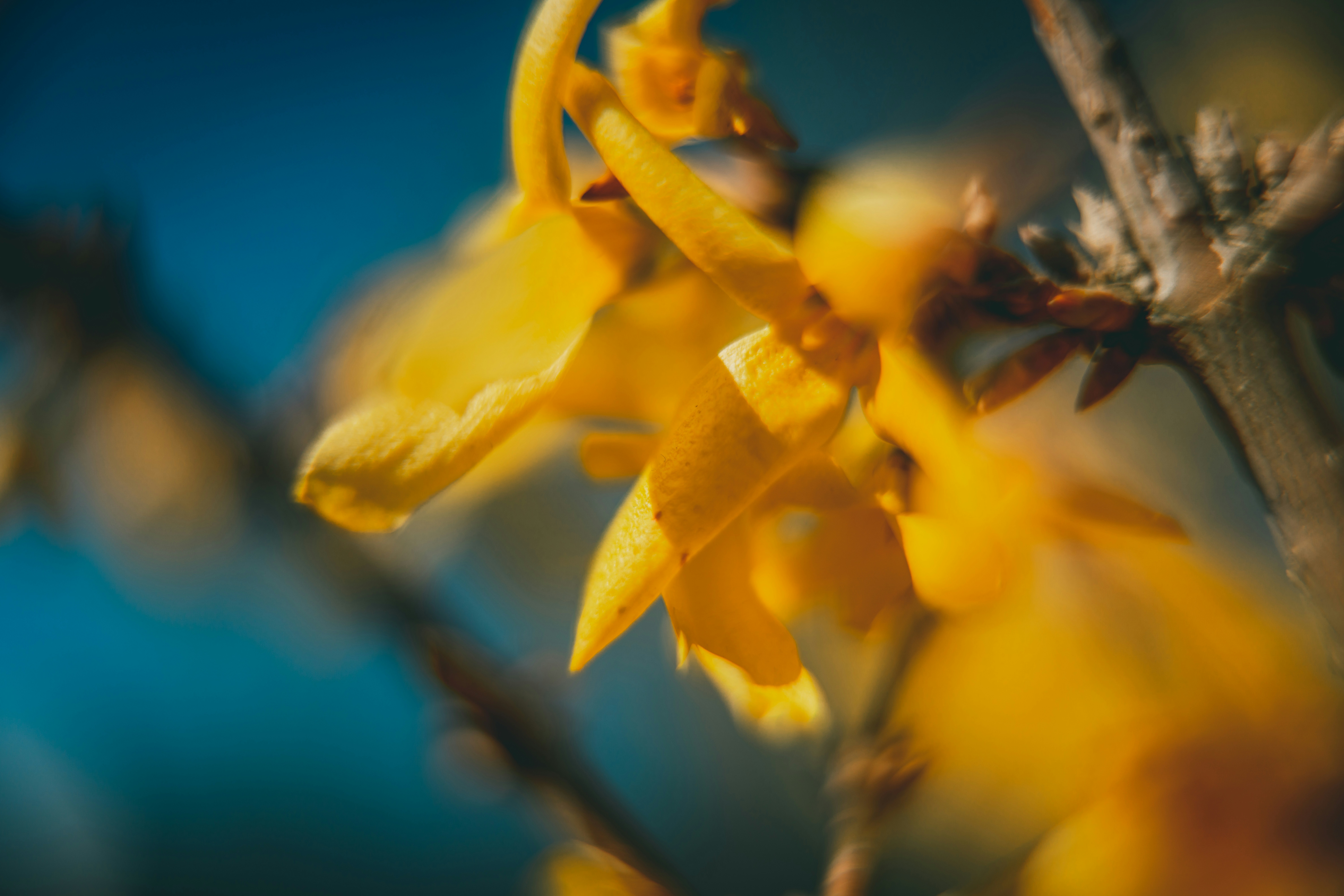 Photo by raimondklavins