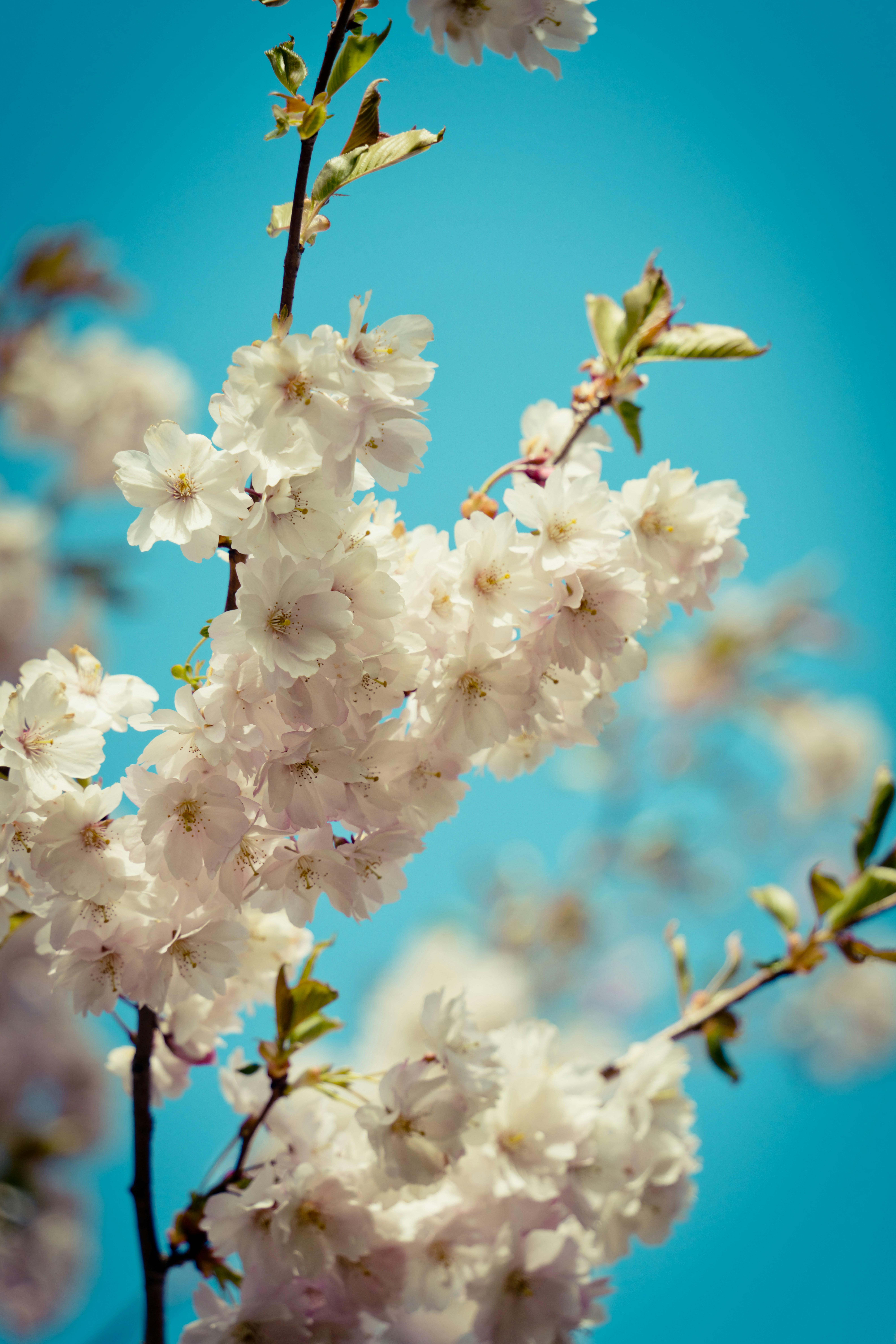 Photo by raimondklavins