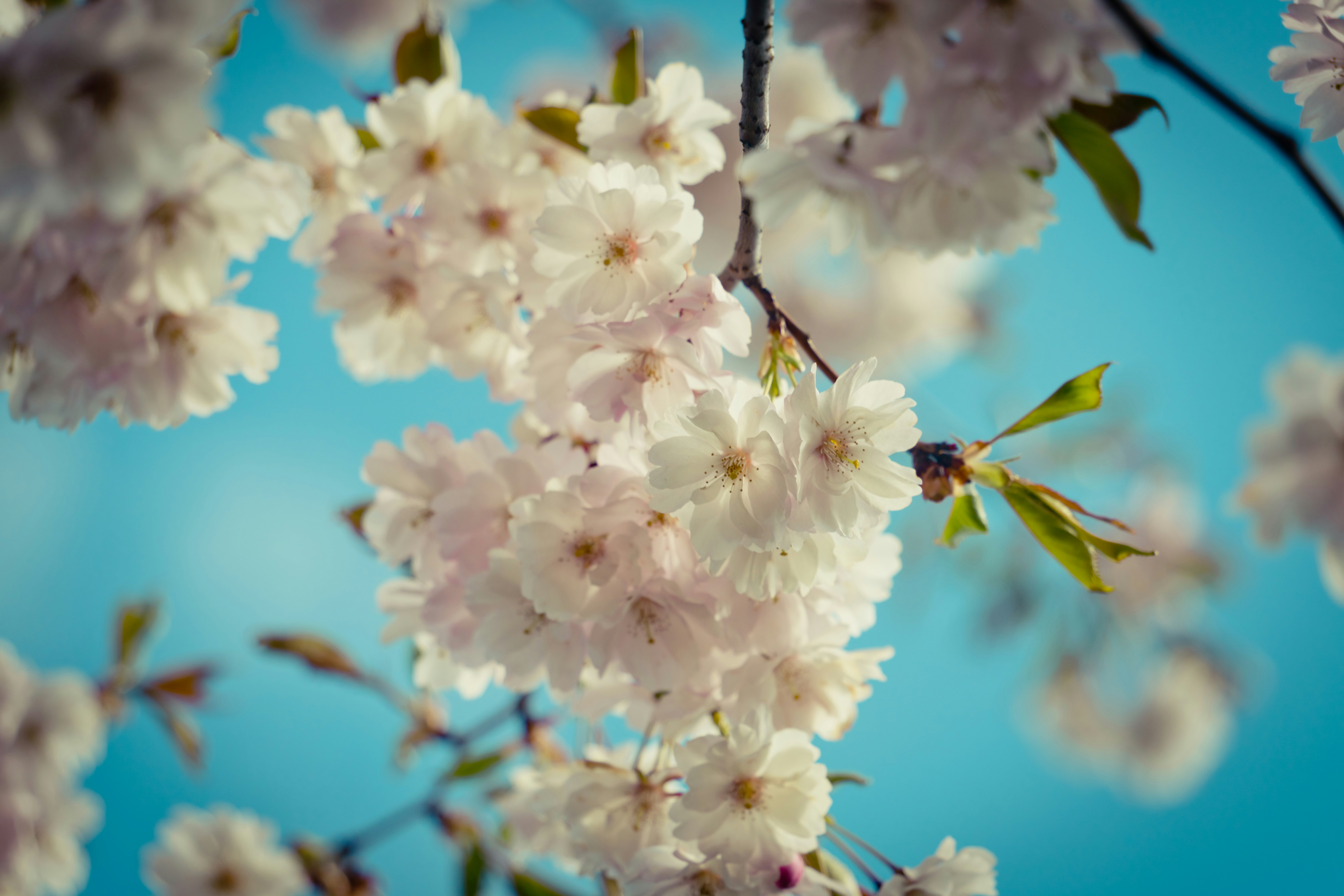 Photo by raimondklavins