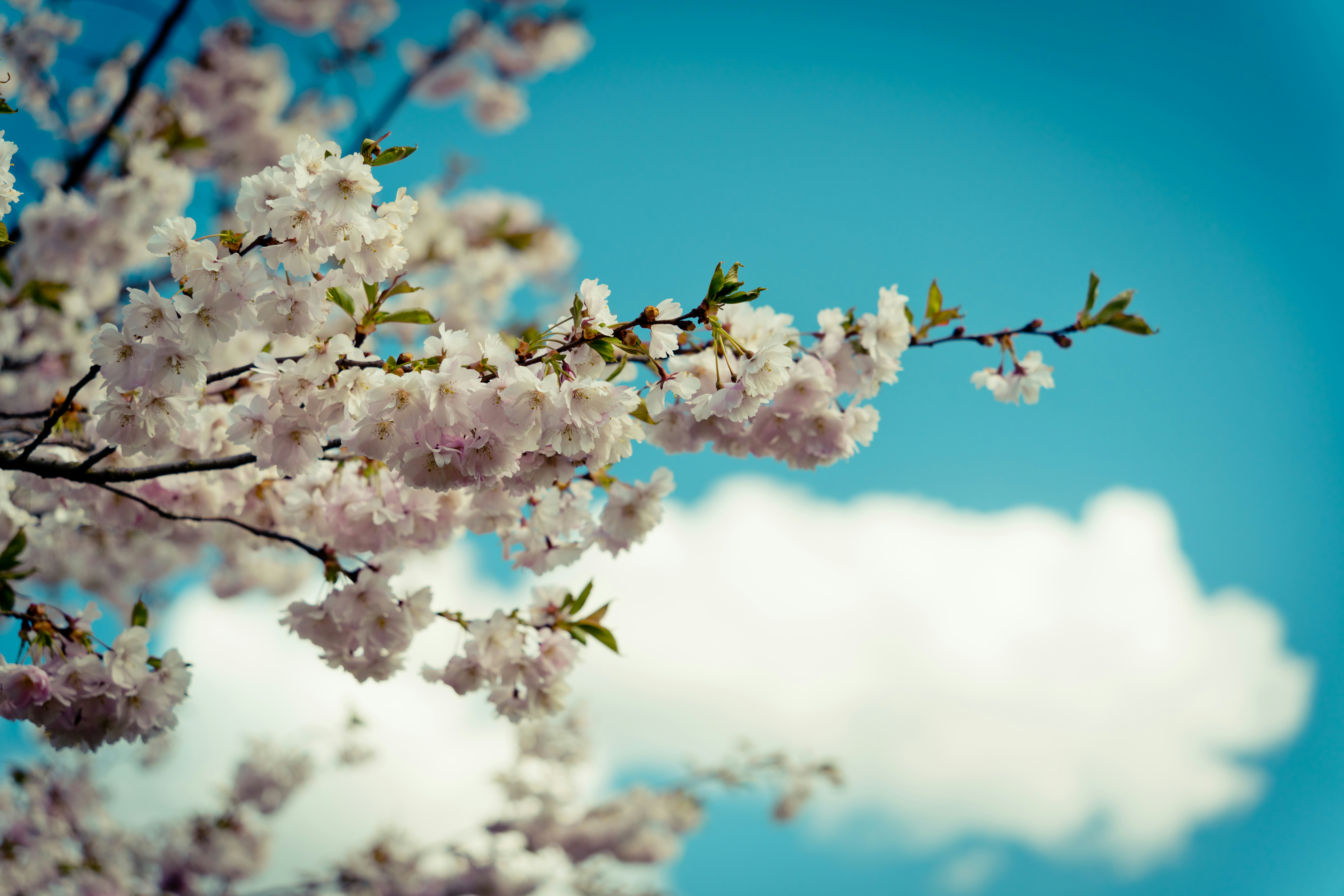 Photo by raimondklavins