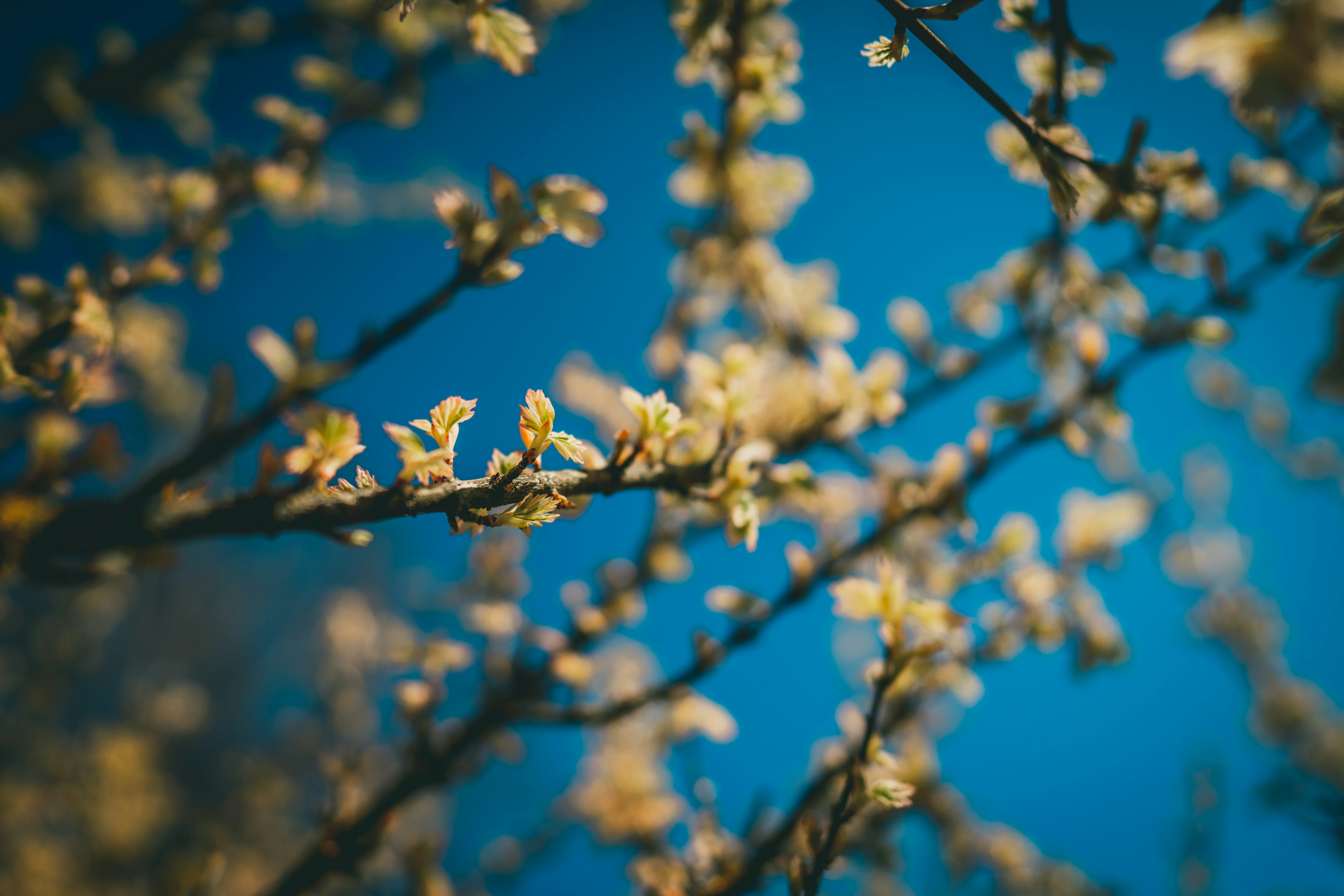 Photo by raimondklavins