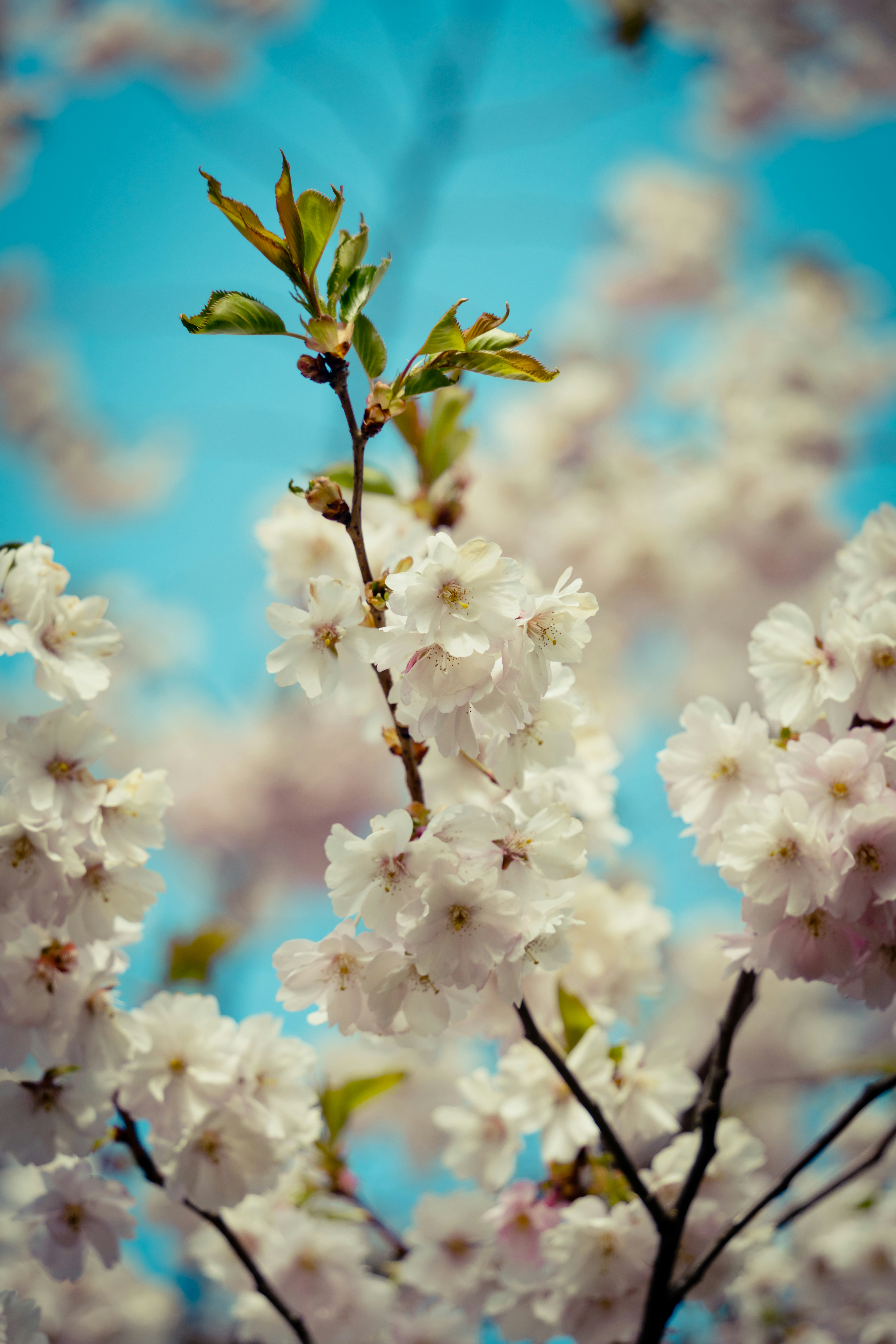 Photo by raimondklavins