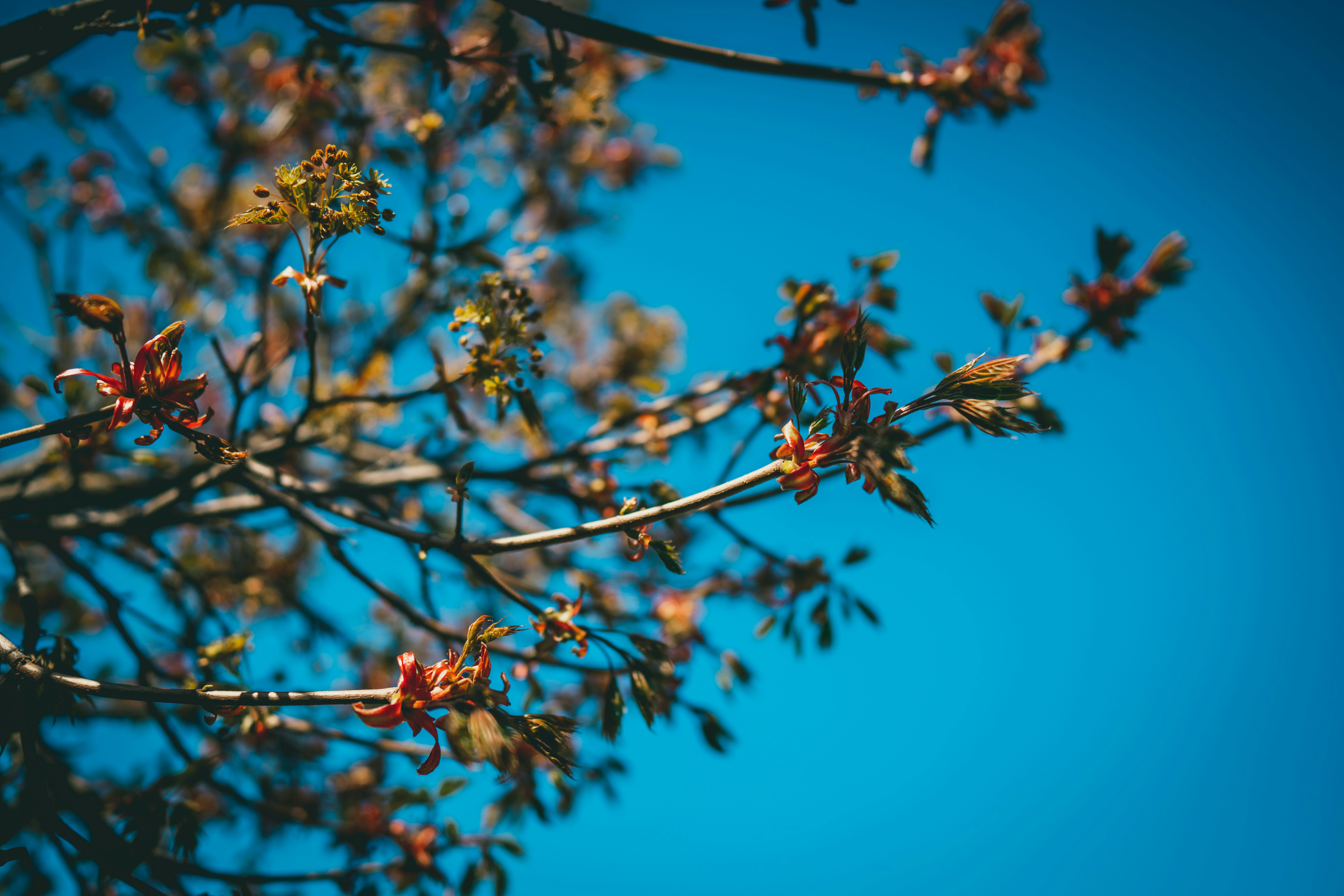 Photo by raimondklavins