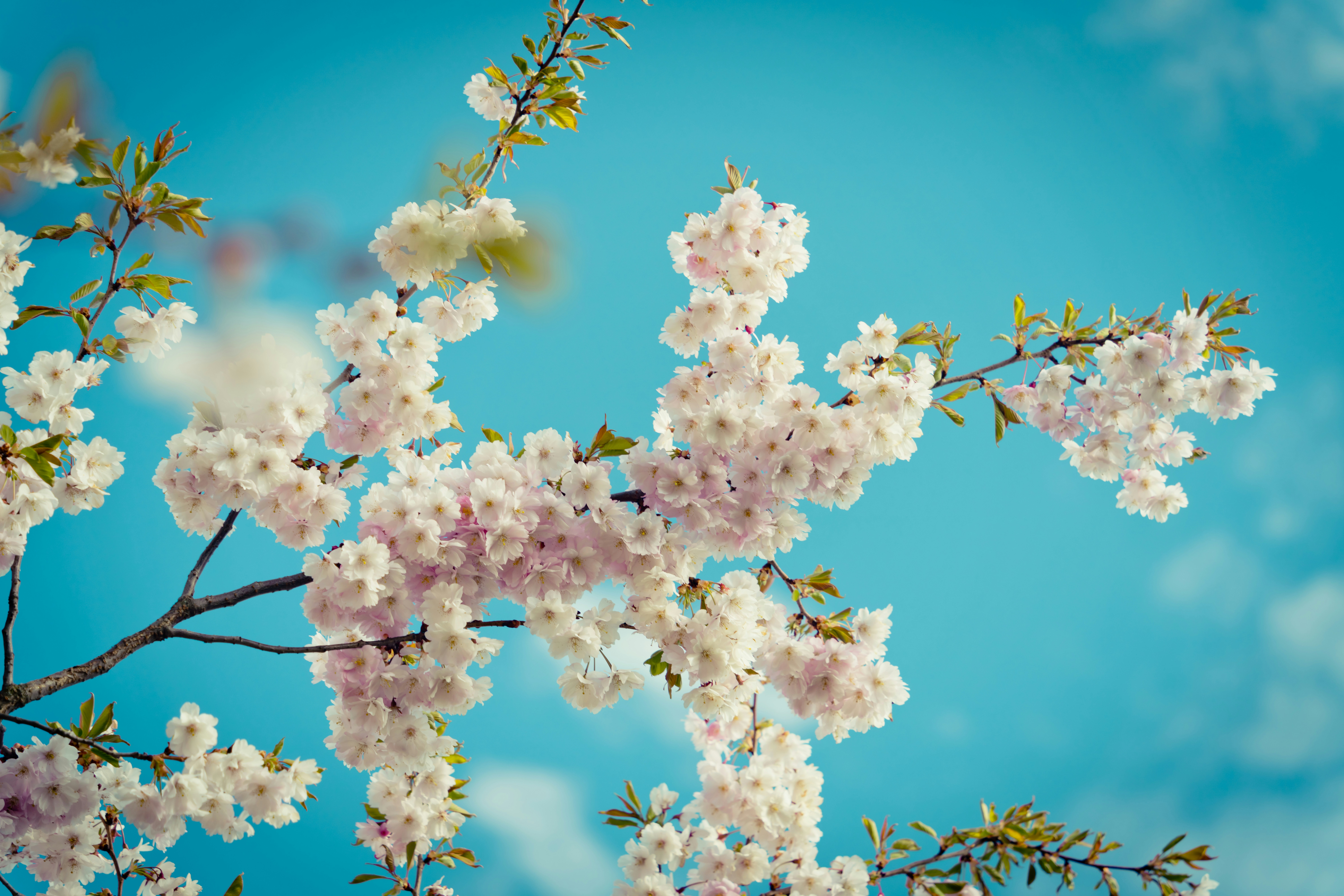 Photo by raimondklavins