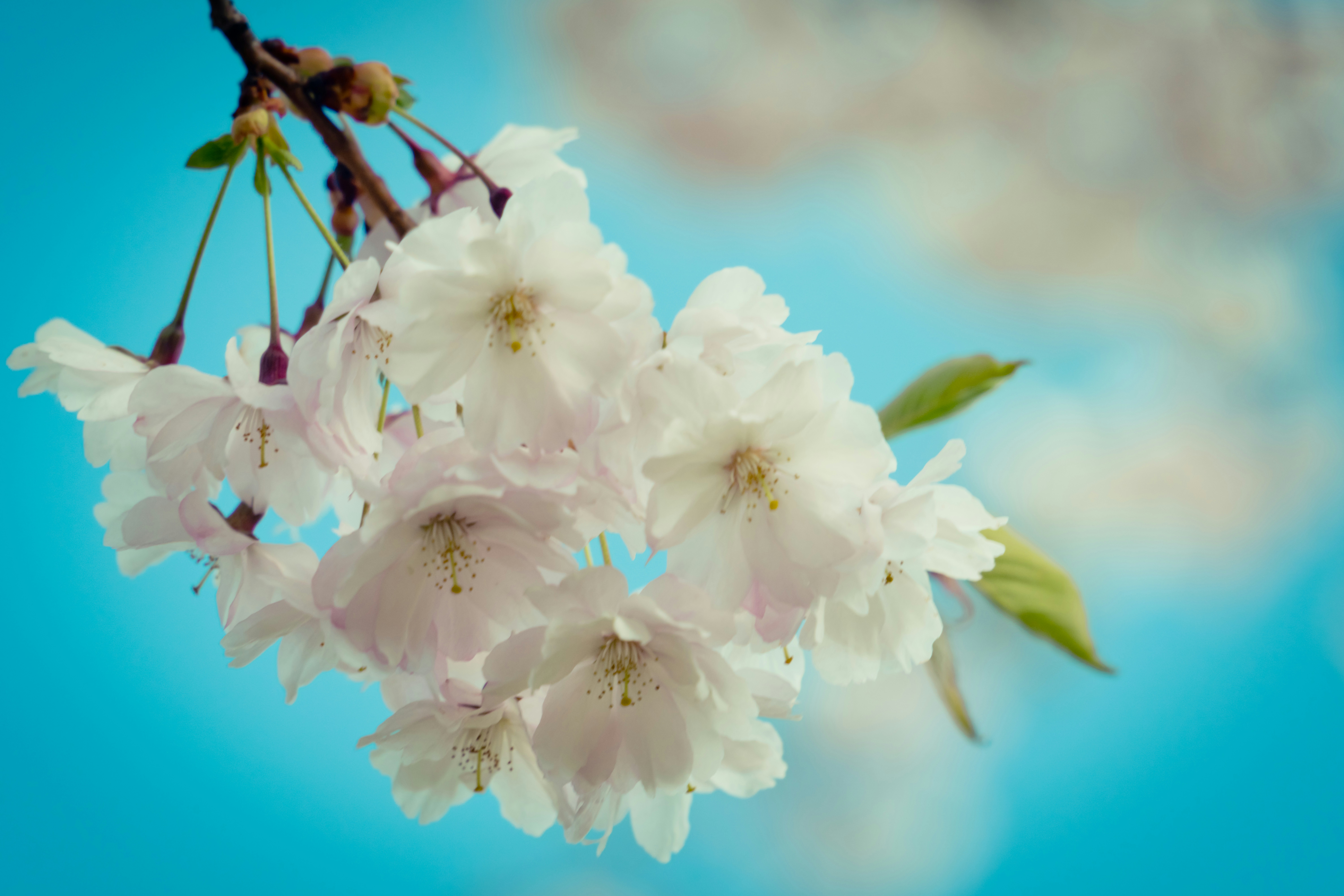 Photo by raimondklavins