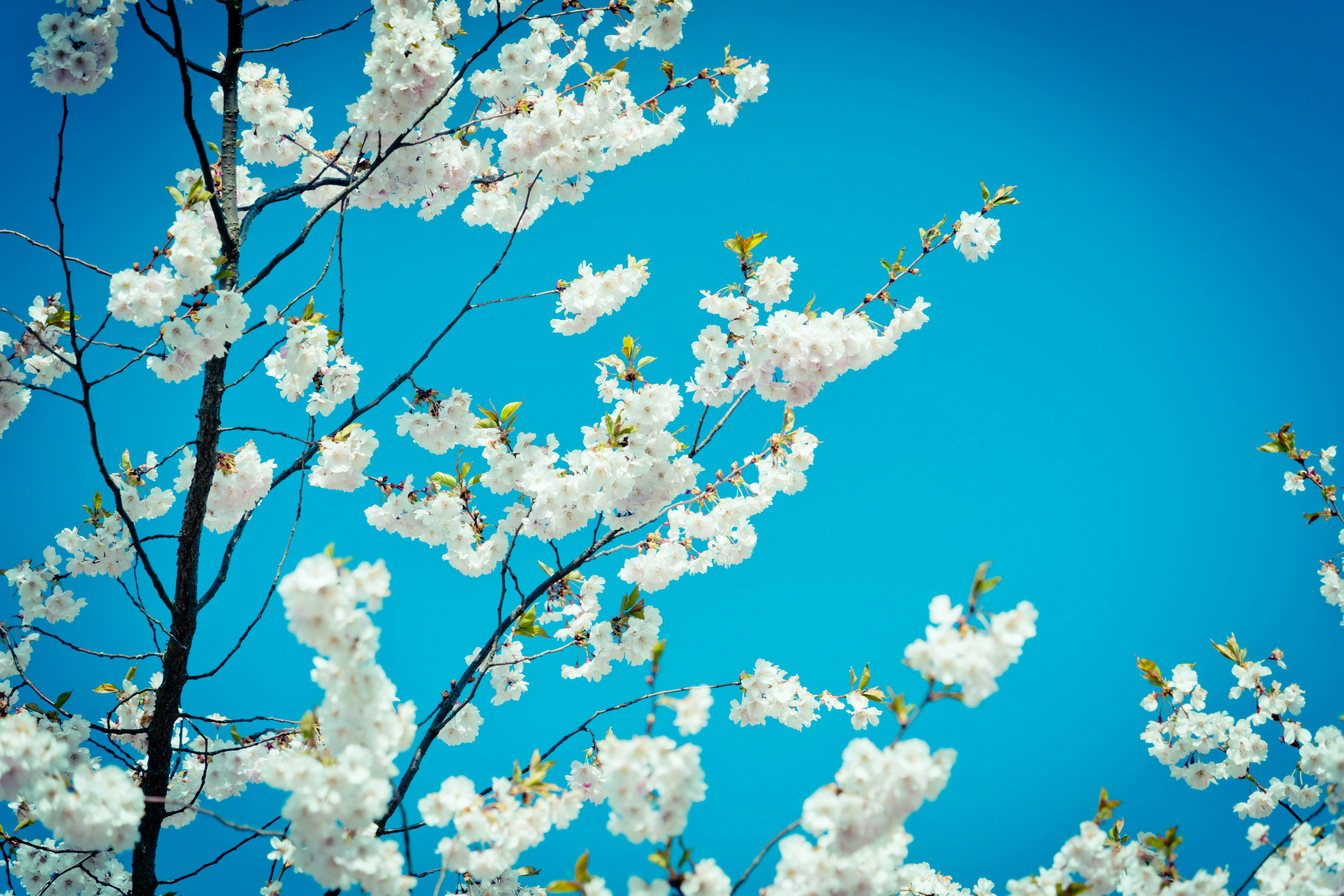 Photo by raimondklavins