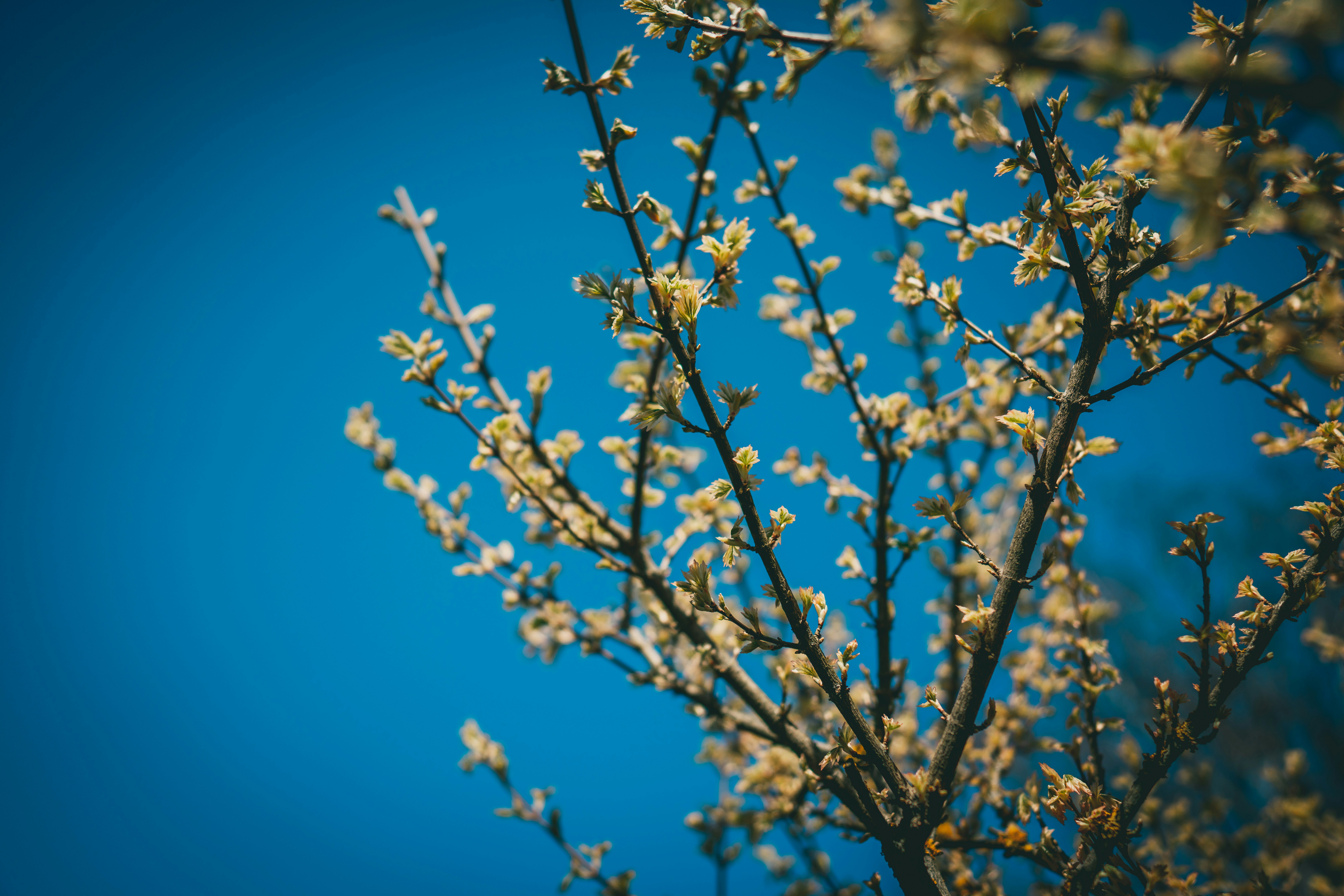 Photo by raimondklavins