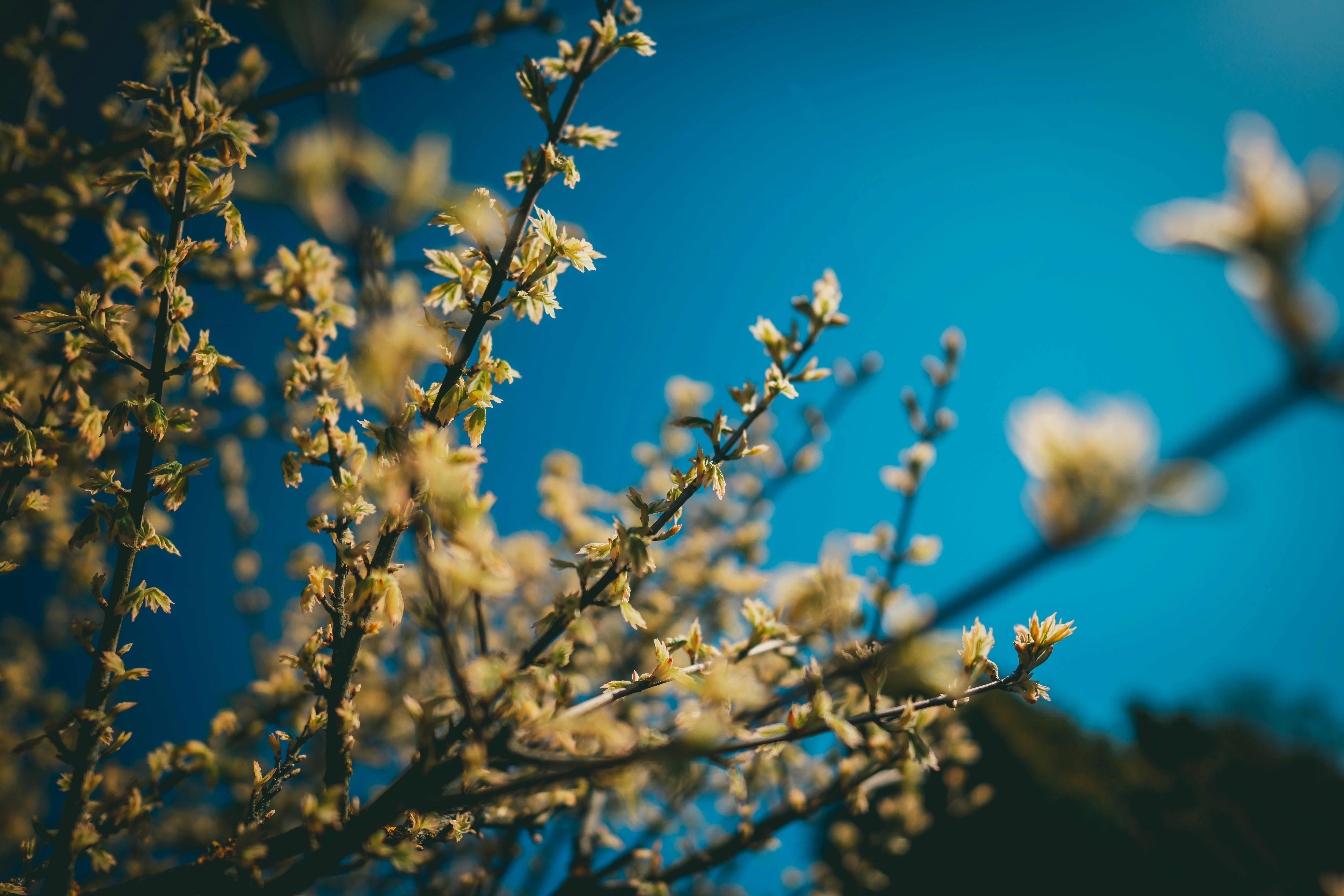 Photo by raimondklavins