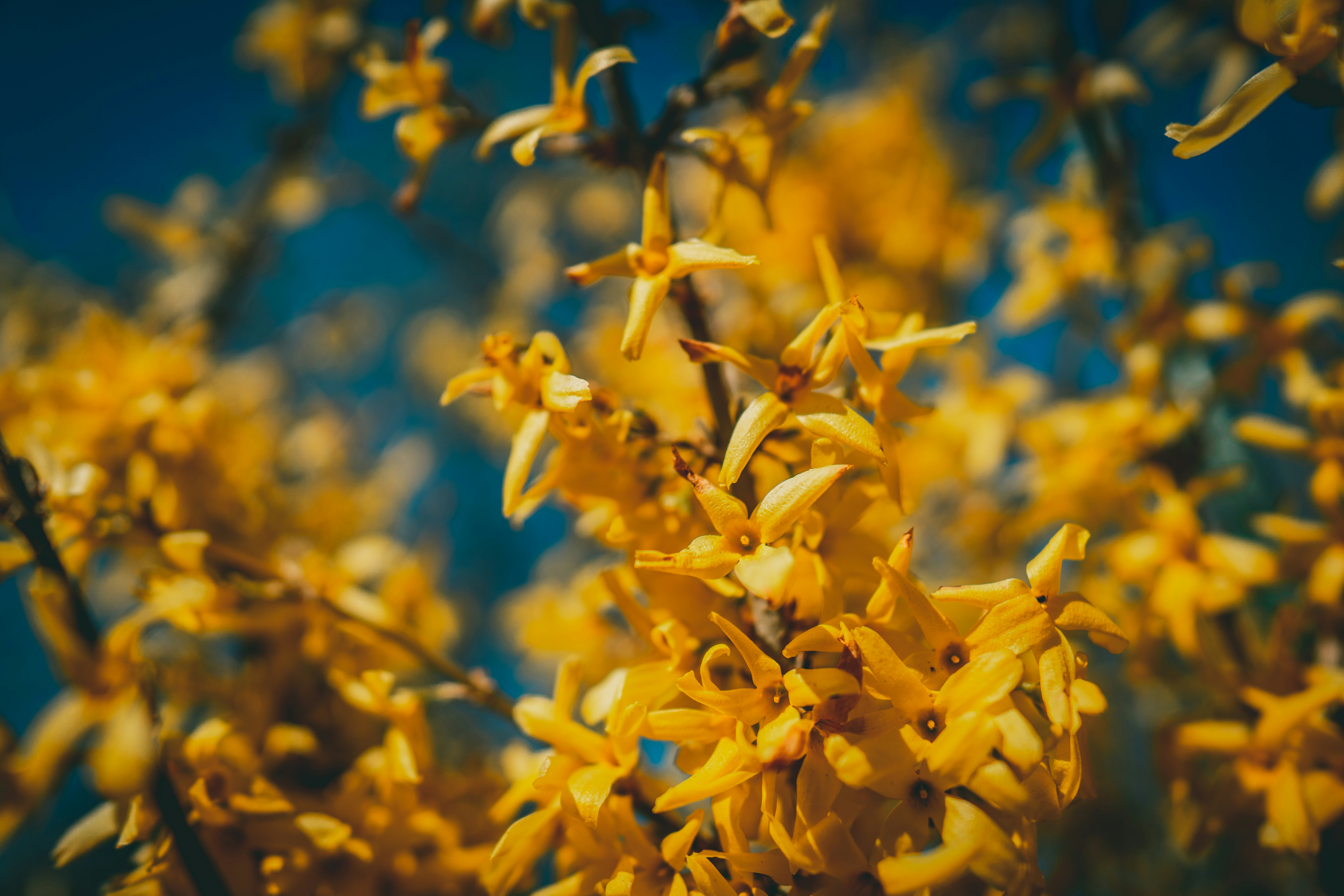 Photo by raimondklavins