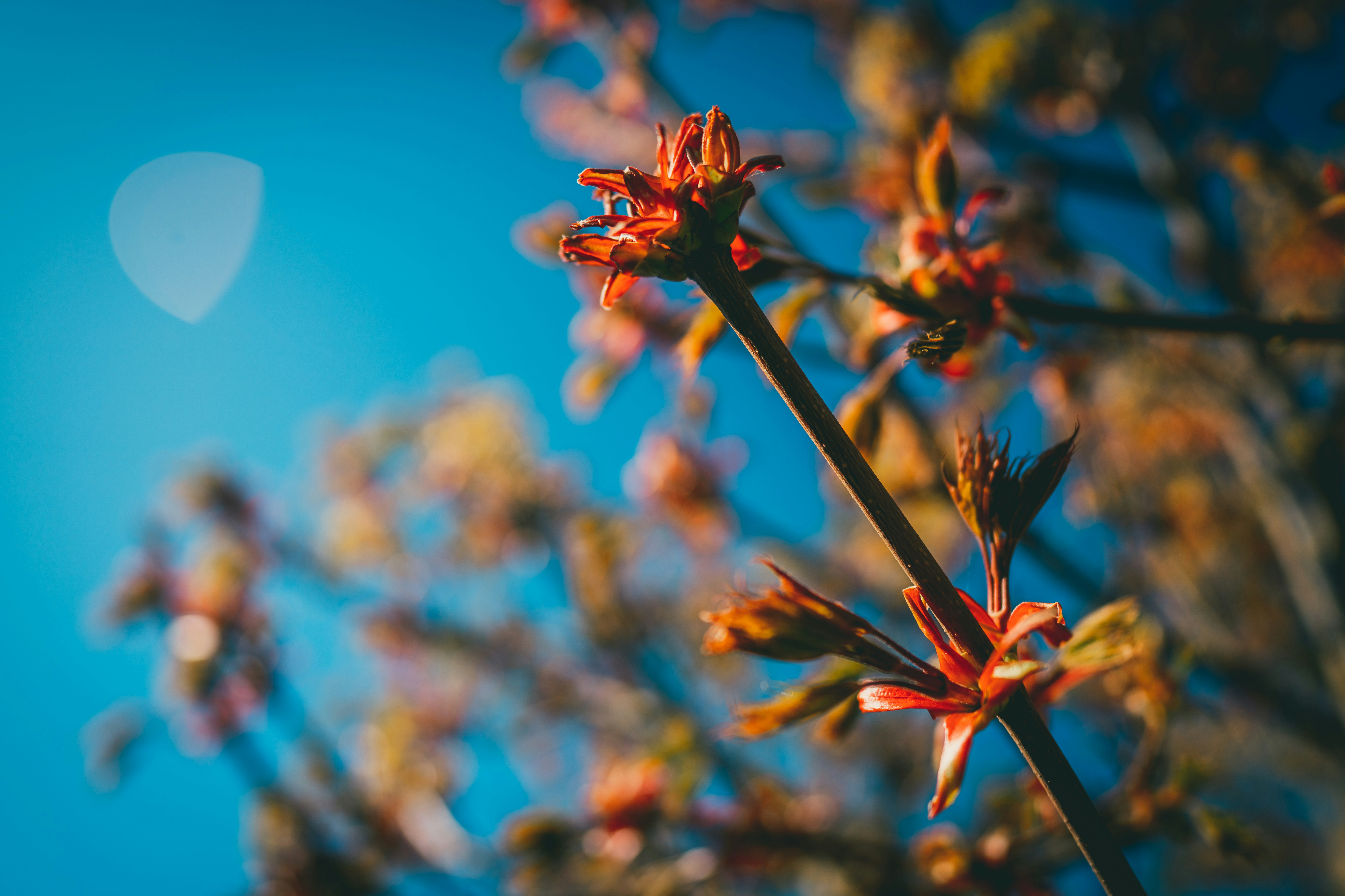 Photo by raimondklavins